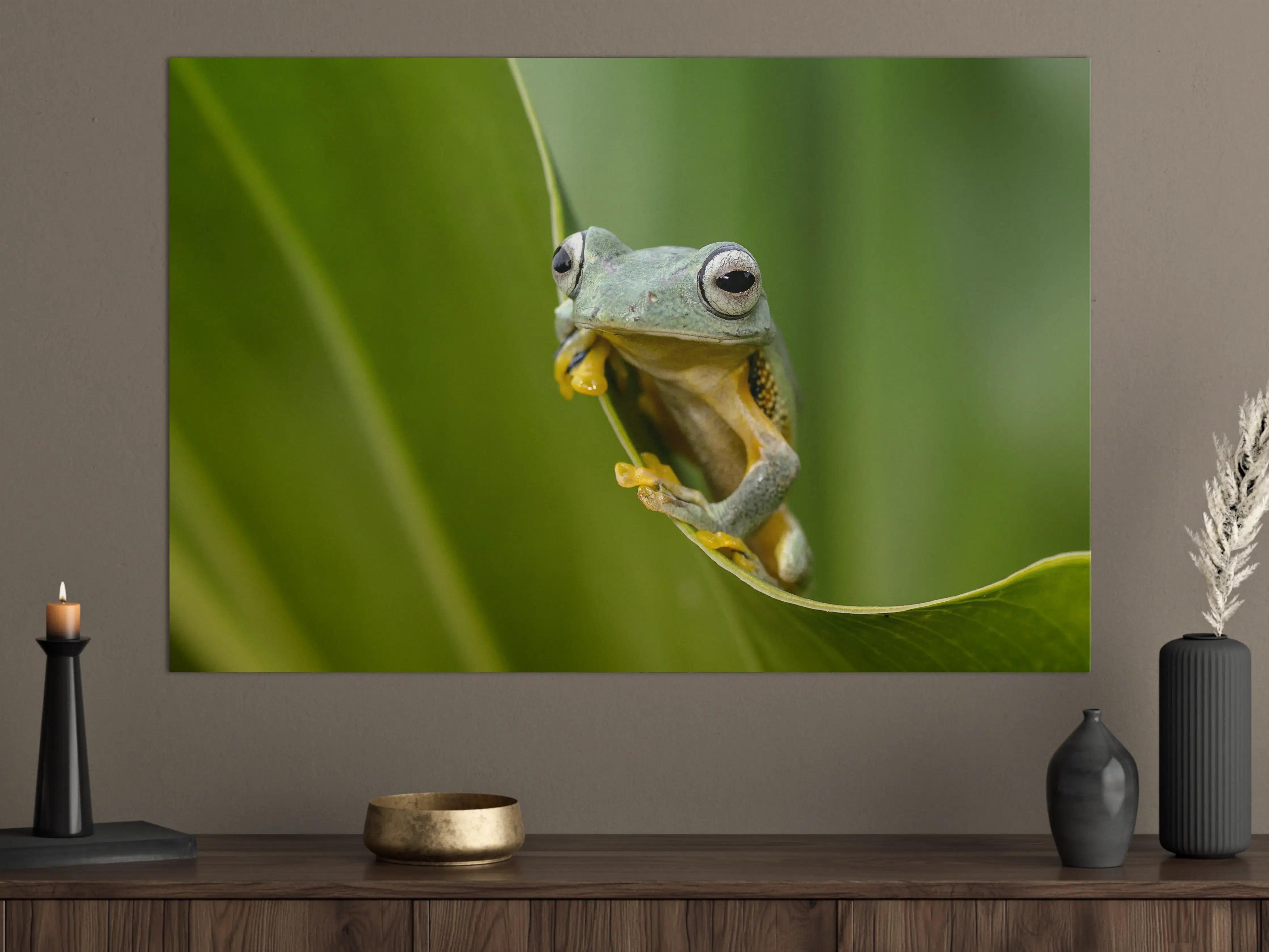 Große Wandbilder - Fröhlicher Frosch auf grüner Pflanze