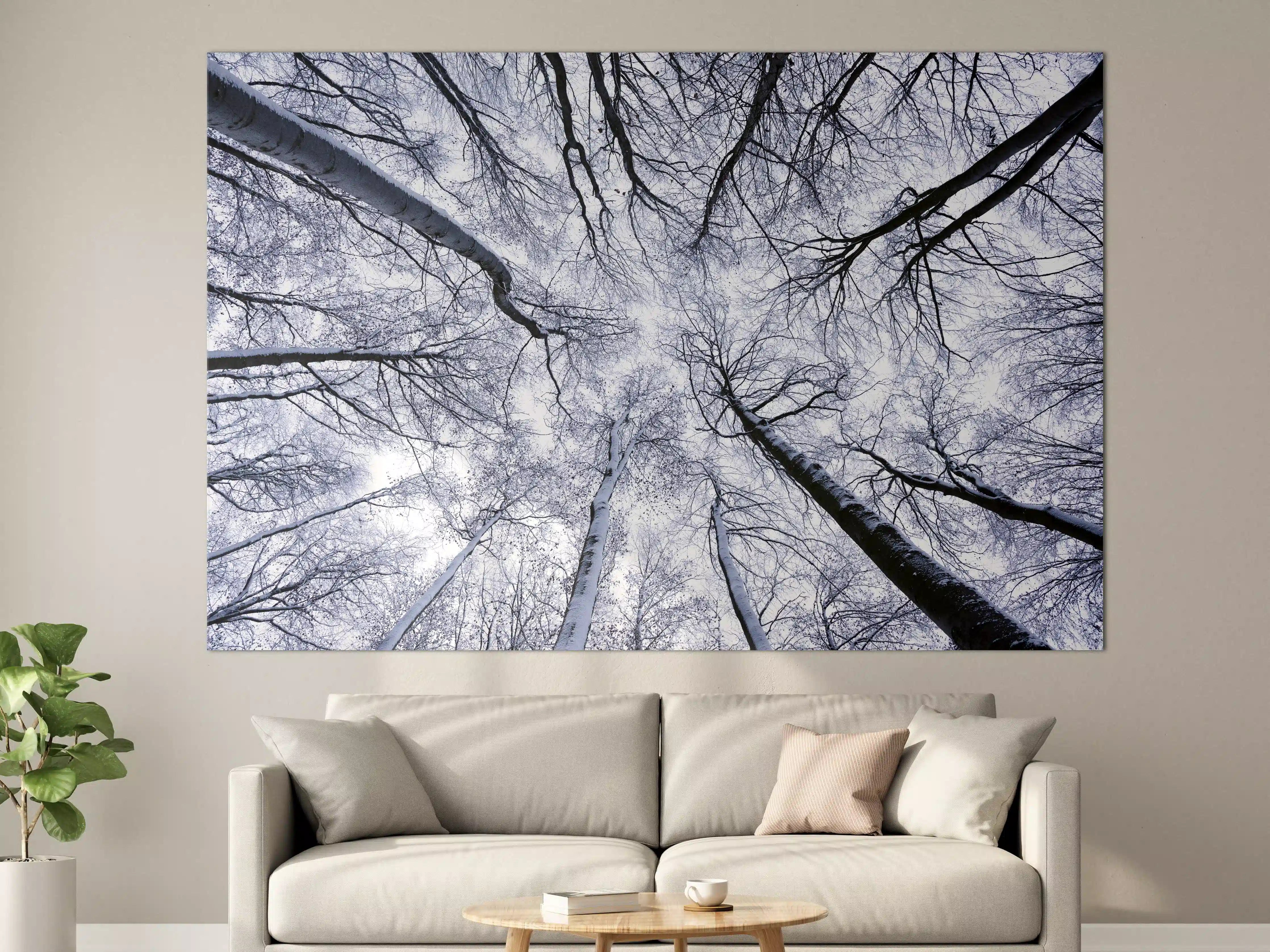 Große Wandbilder - Frostiger Wald