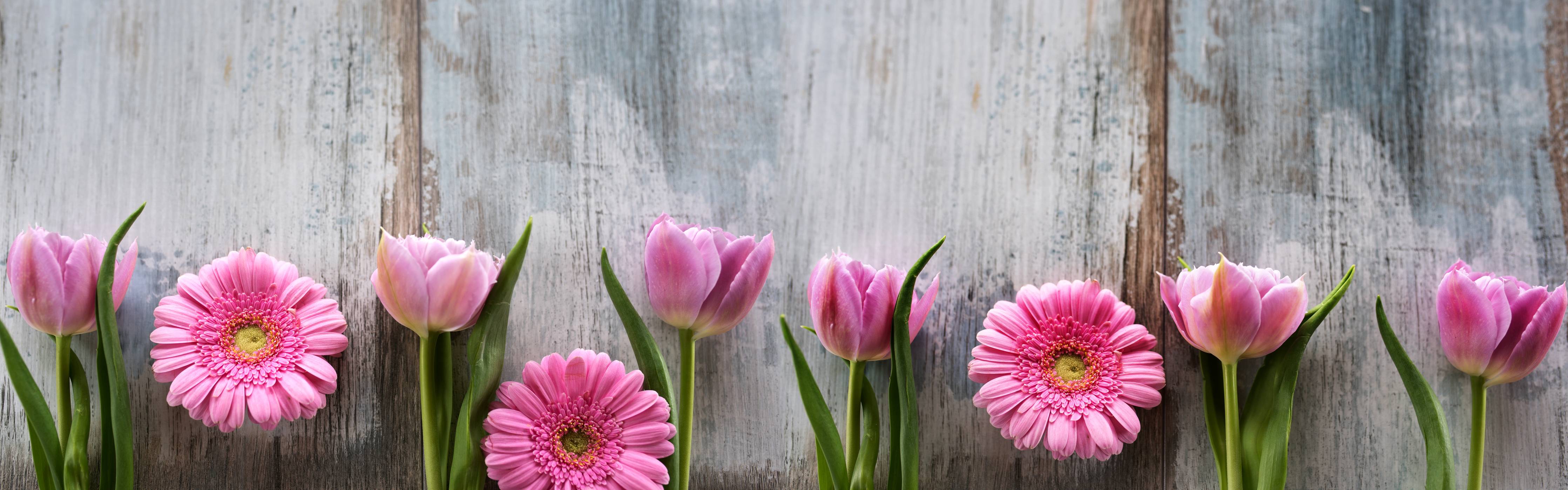 Große Wandbilder-Frühlingsblumen auf schäbigem Holz