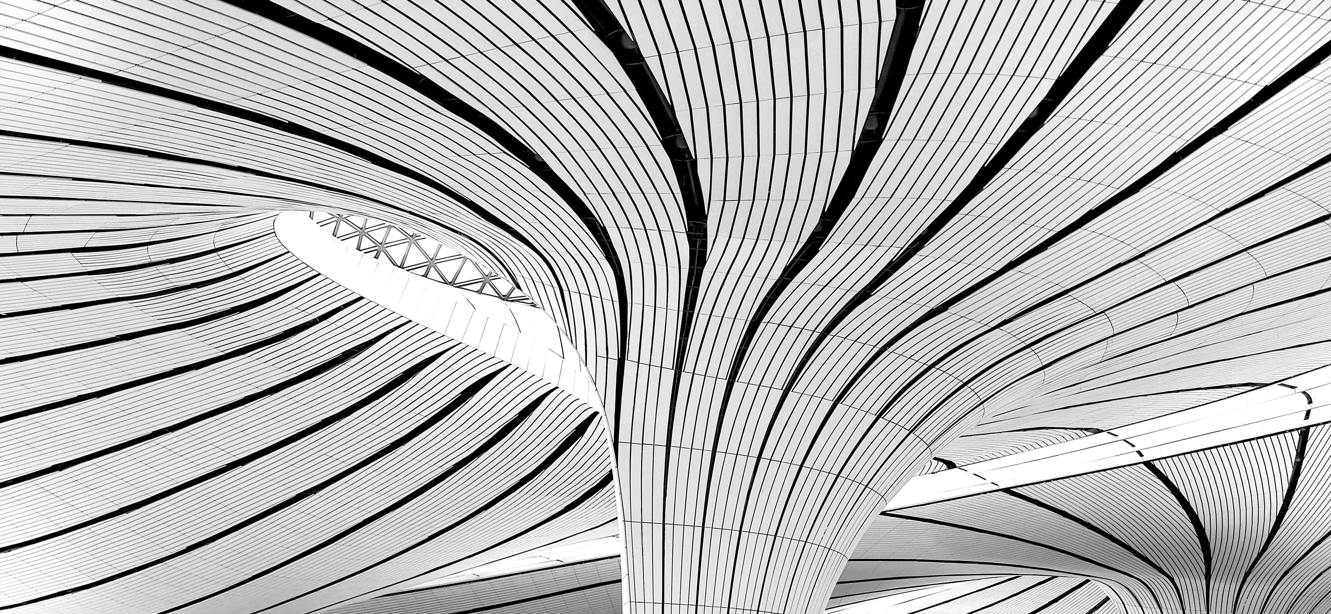 Große Wandbilder-Futuristisches Architekturdesign mit organischer Struktur