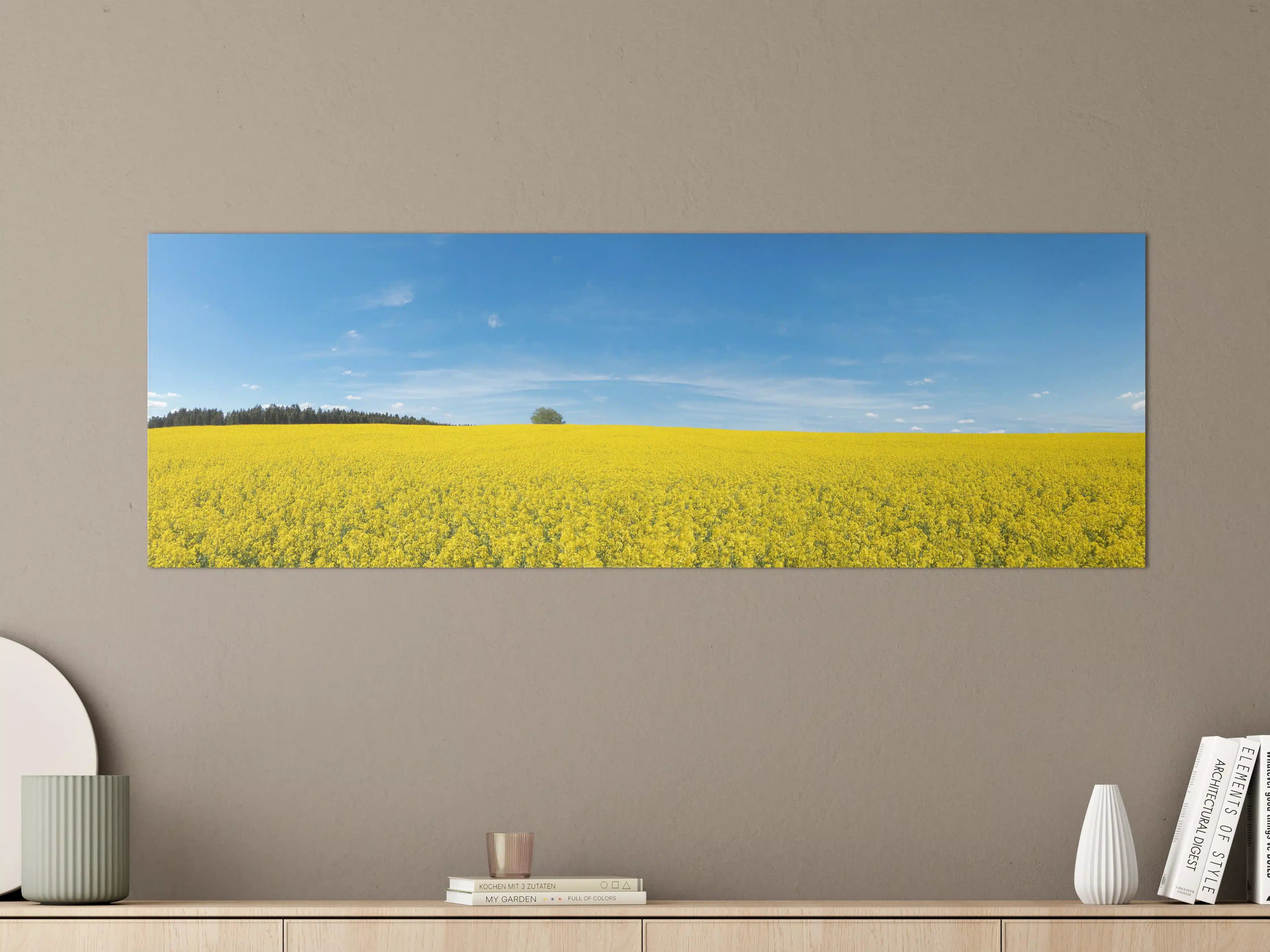 Große Wandbilder - Gelbes Rapsfeld blauer Himmel