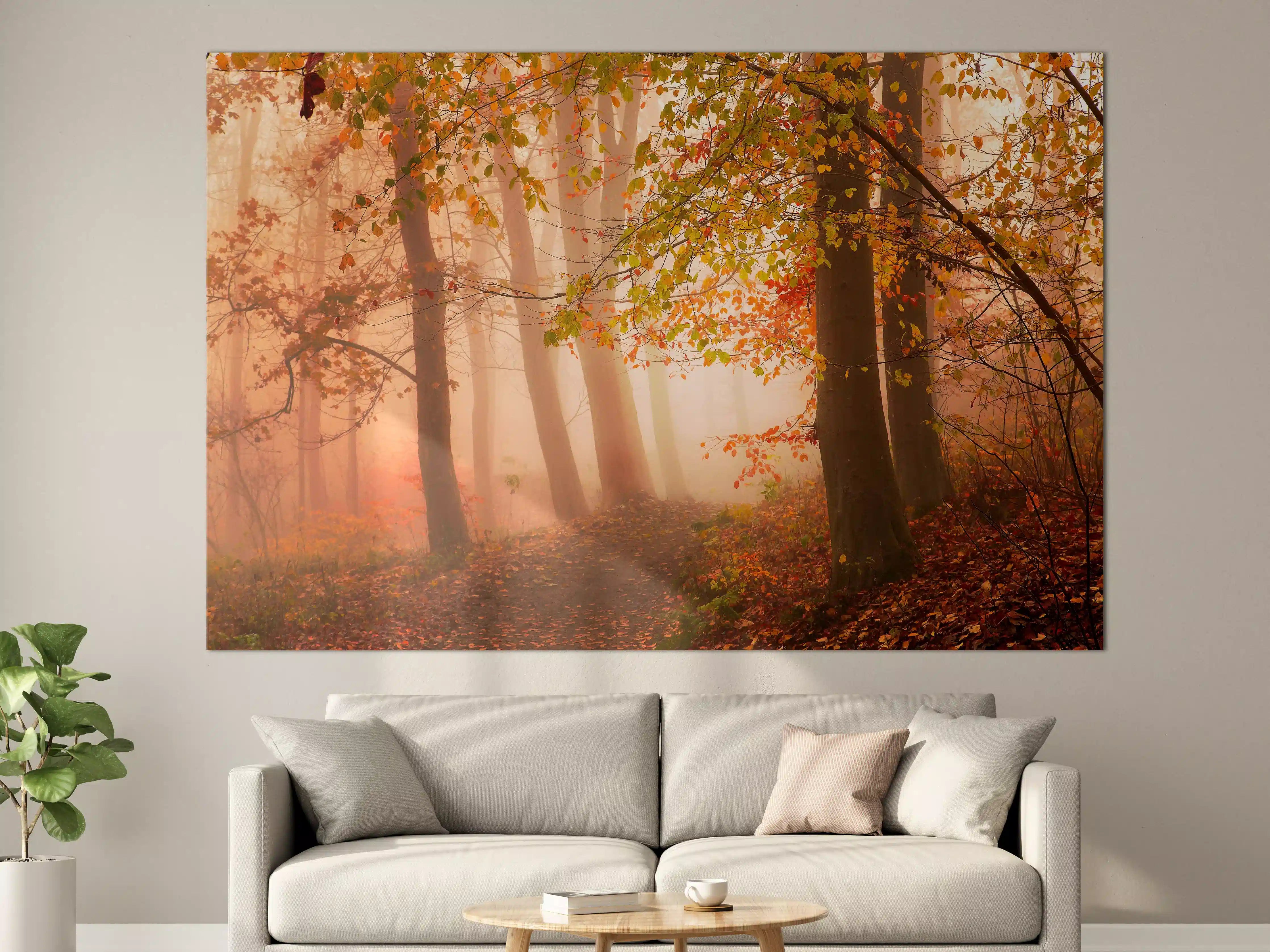 Große Wandbilder - Gemütlicher Herbstwaldspaziergang