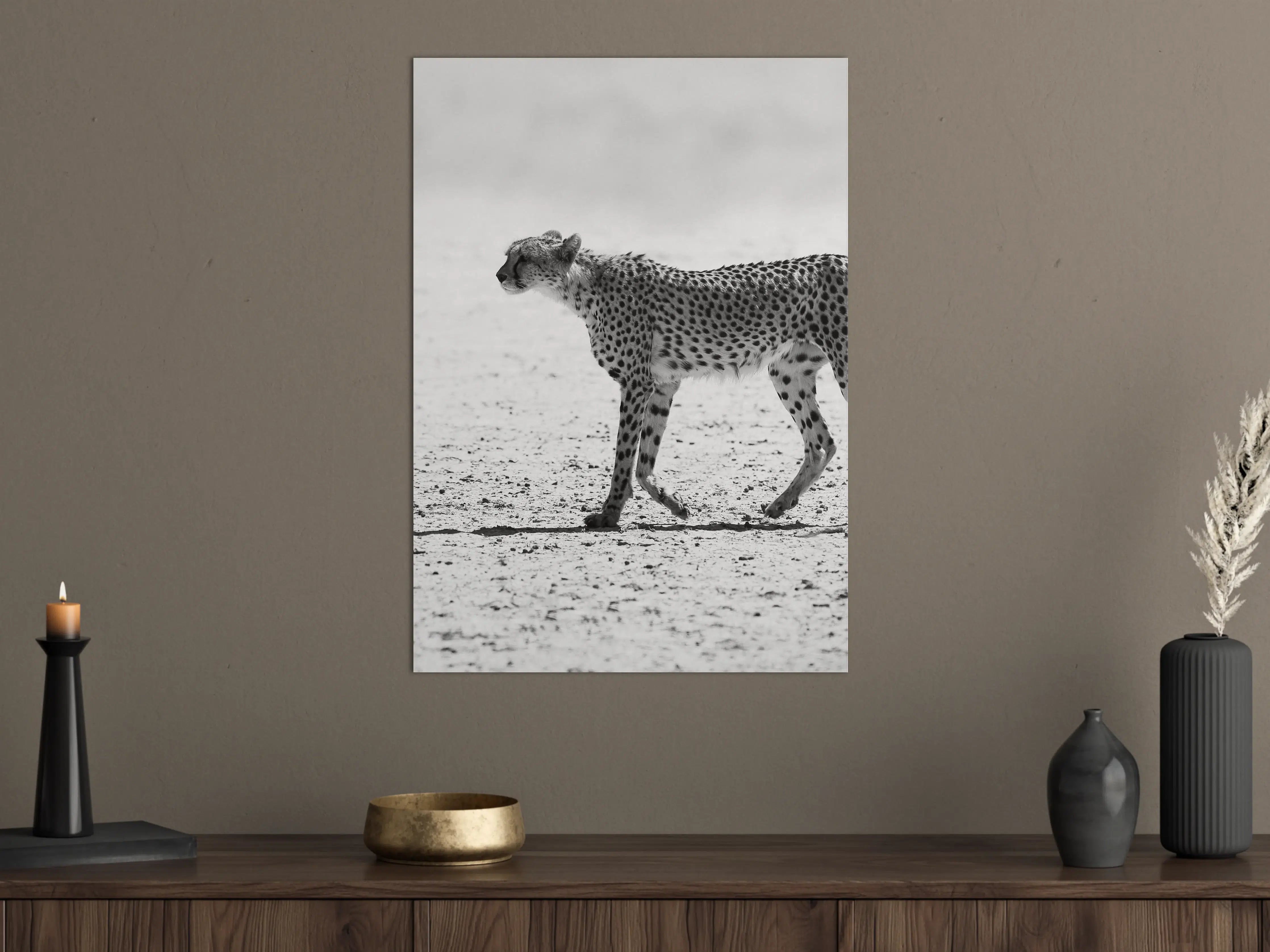 Große Wandbilder - Gepard - schwarz-weiß