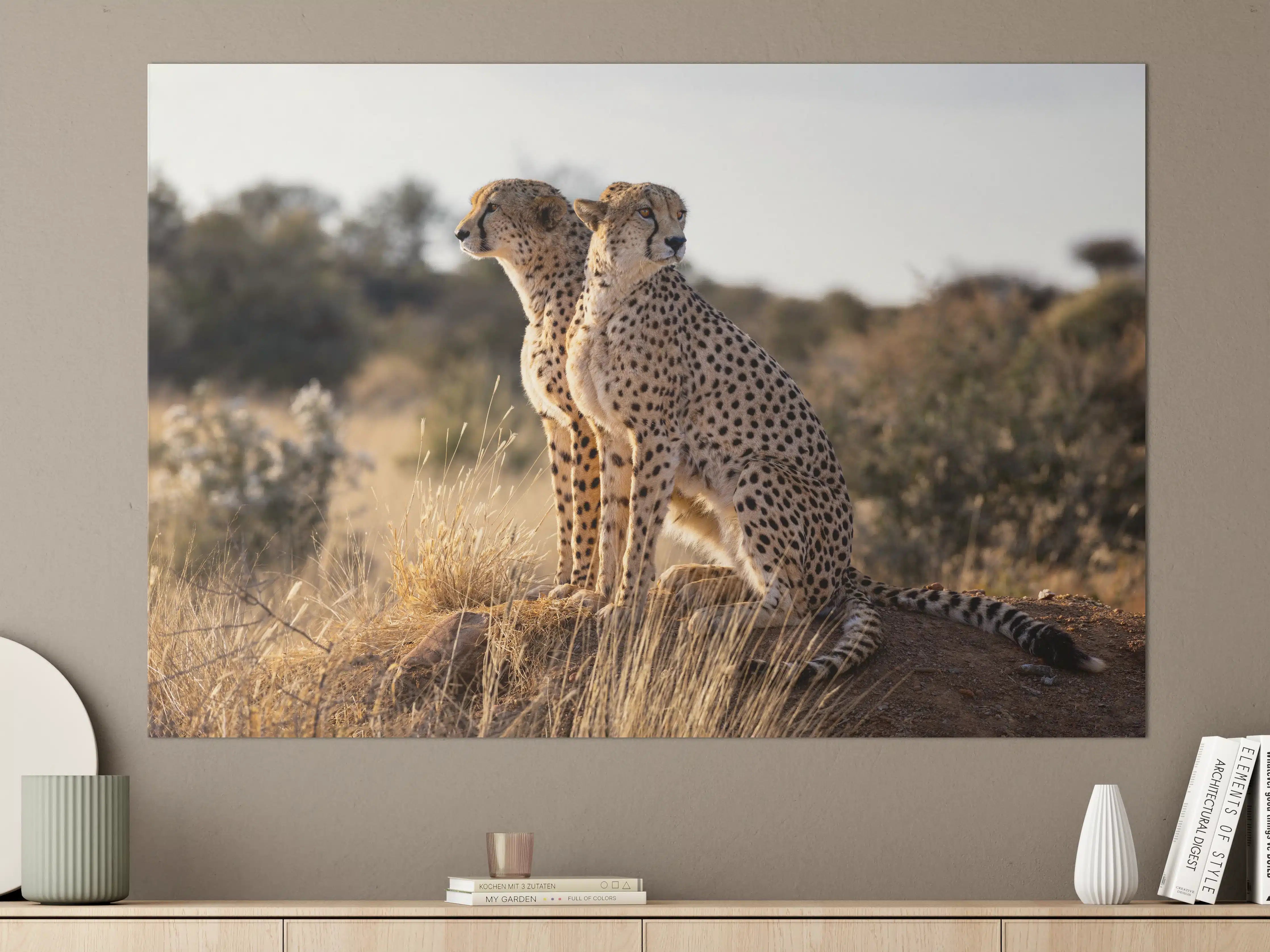 Große Wandbilder - Gepard in freier Natur