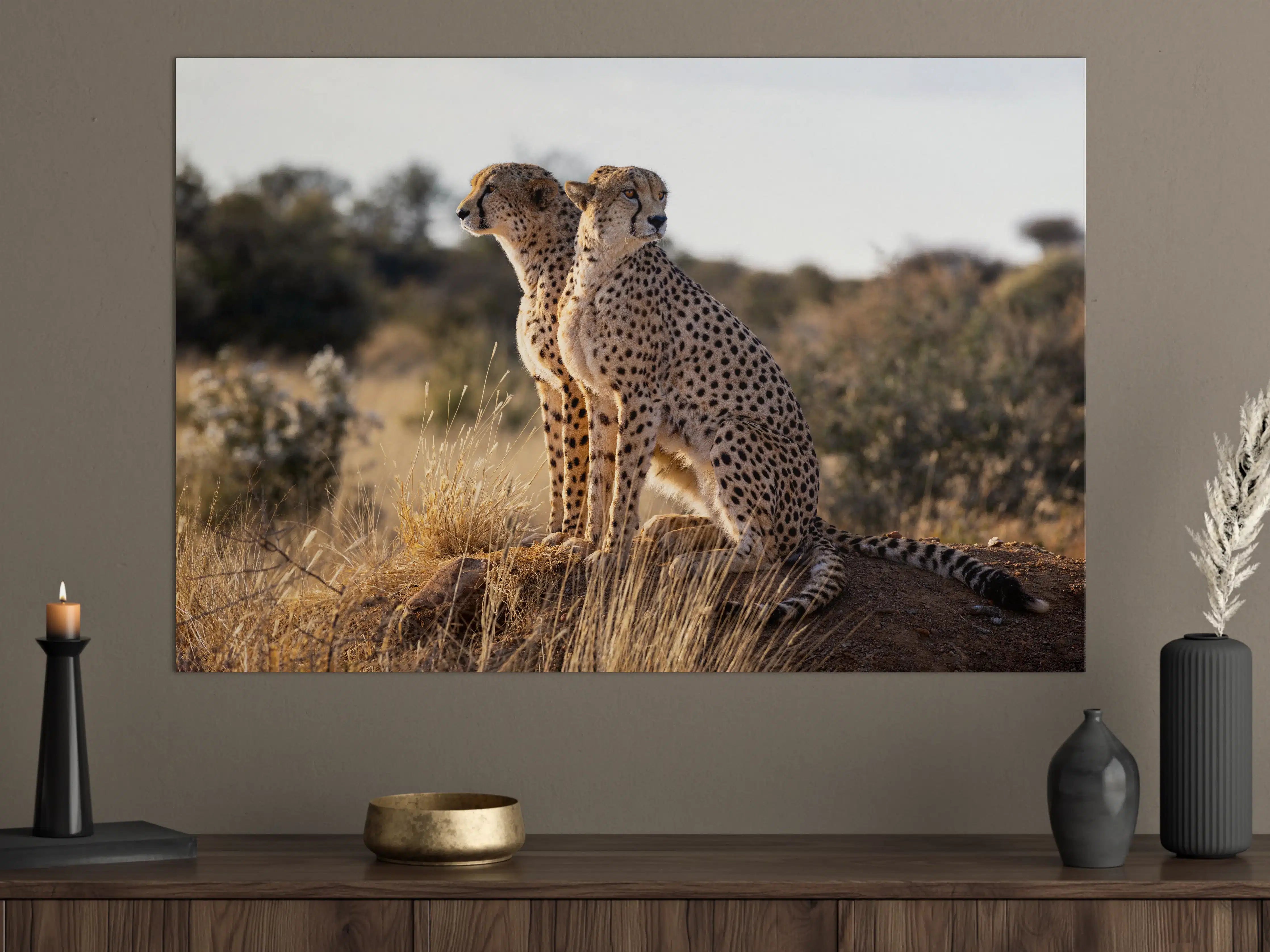 Große Wandbilder - Gepard in freier Natur