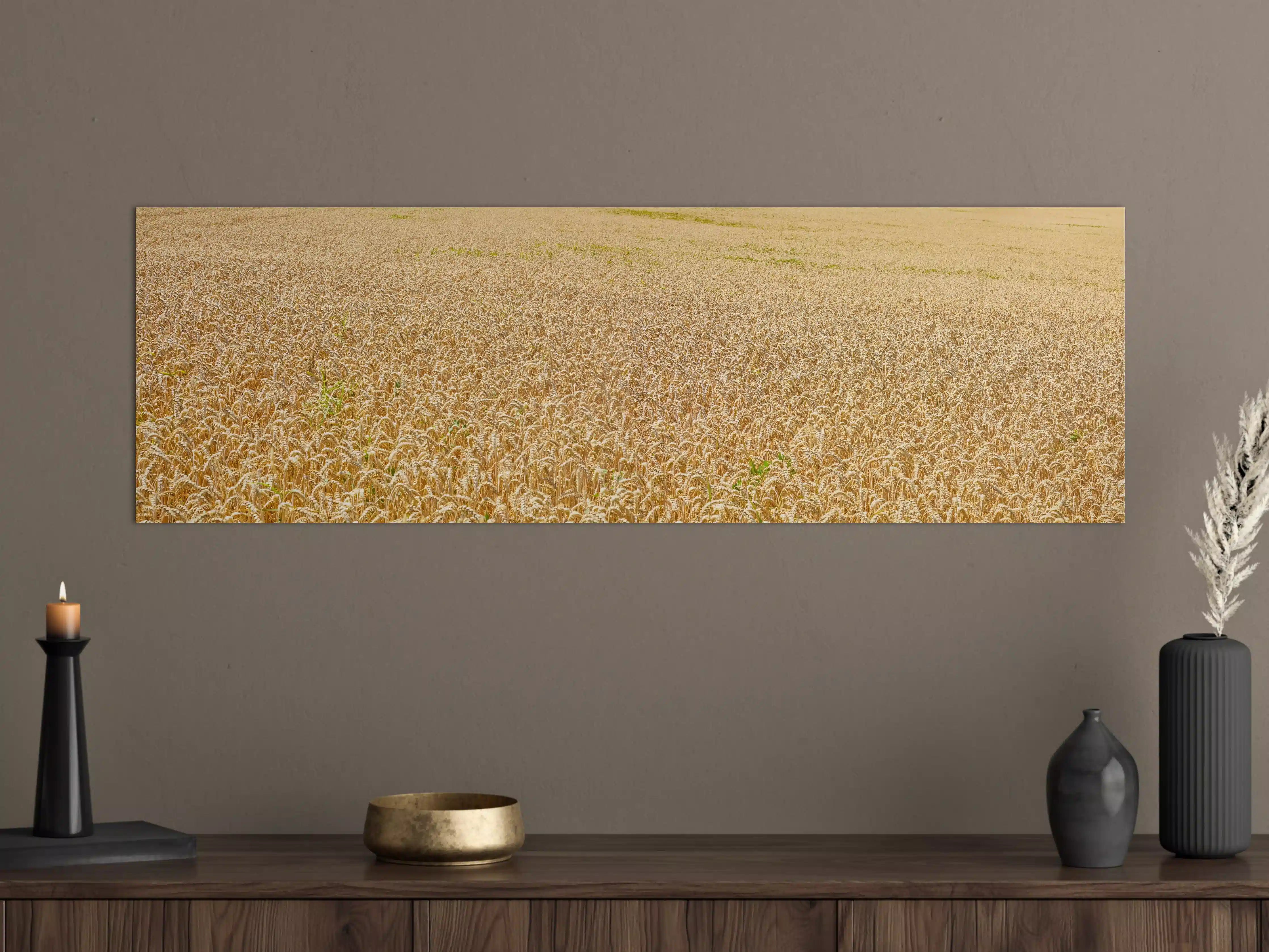 Große Wandbilder - Getreidefeld - Panoramabild