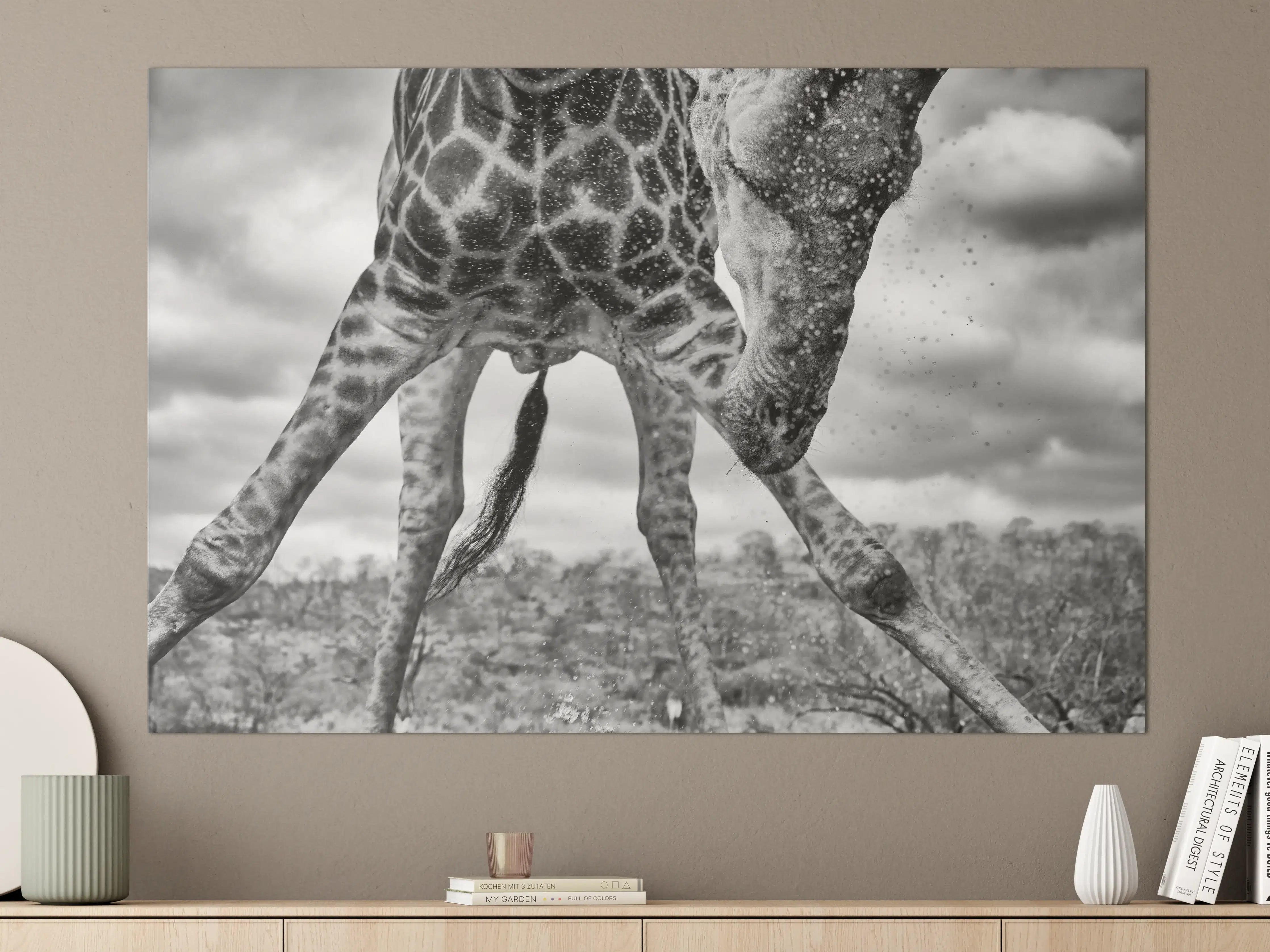 Große Wandbilder - Giraffe Schwarz-Weiß Splish