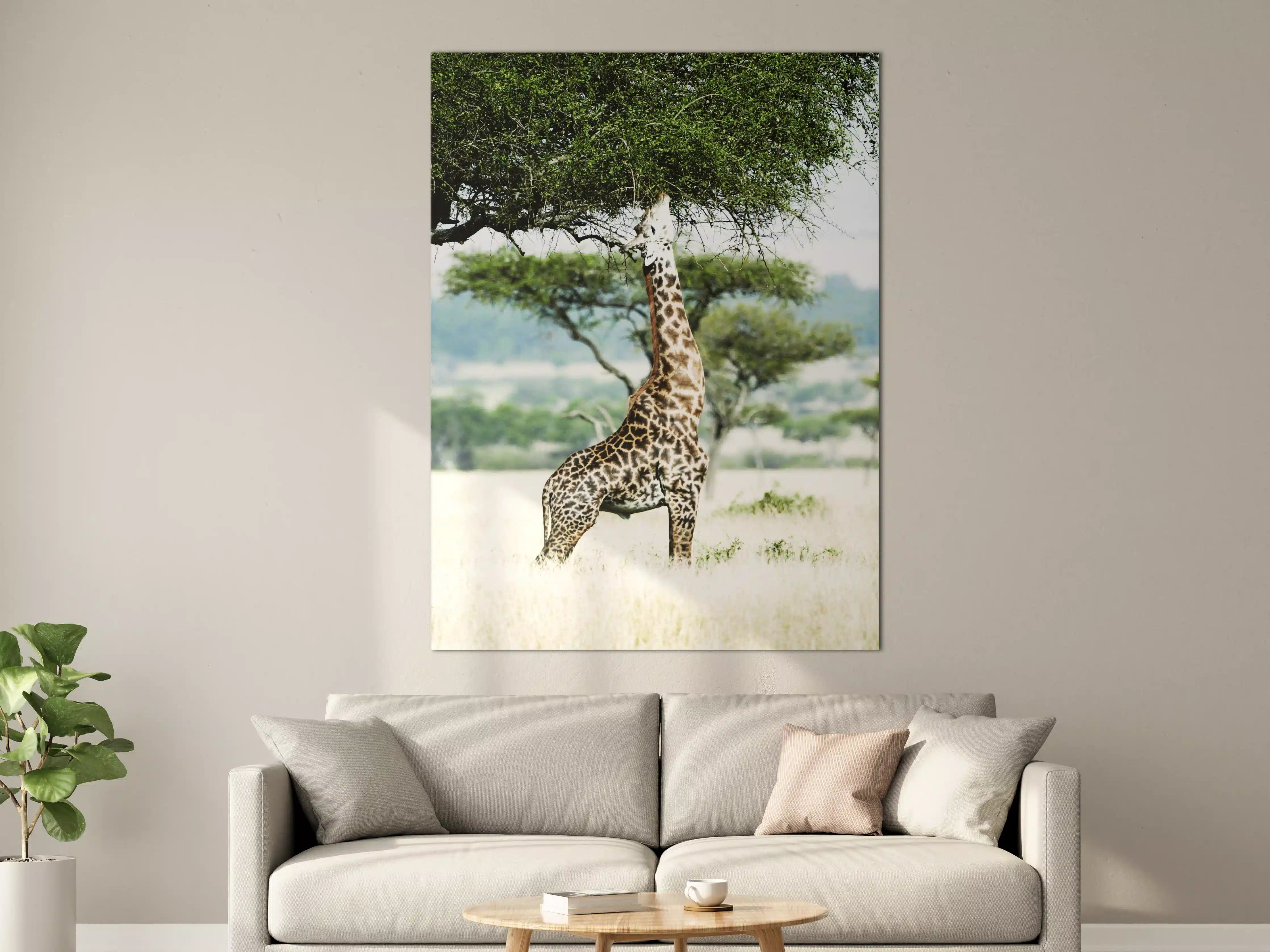 Große Wandbilder - Giraffe in der Savanne