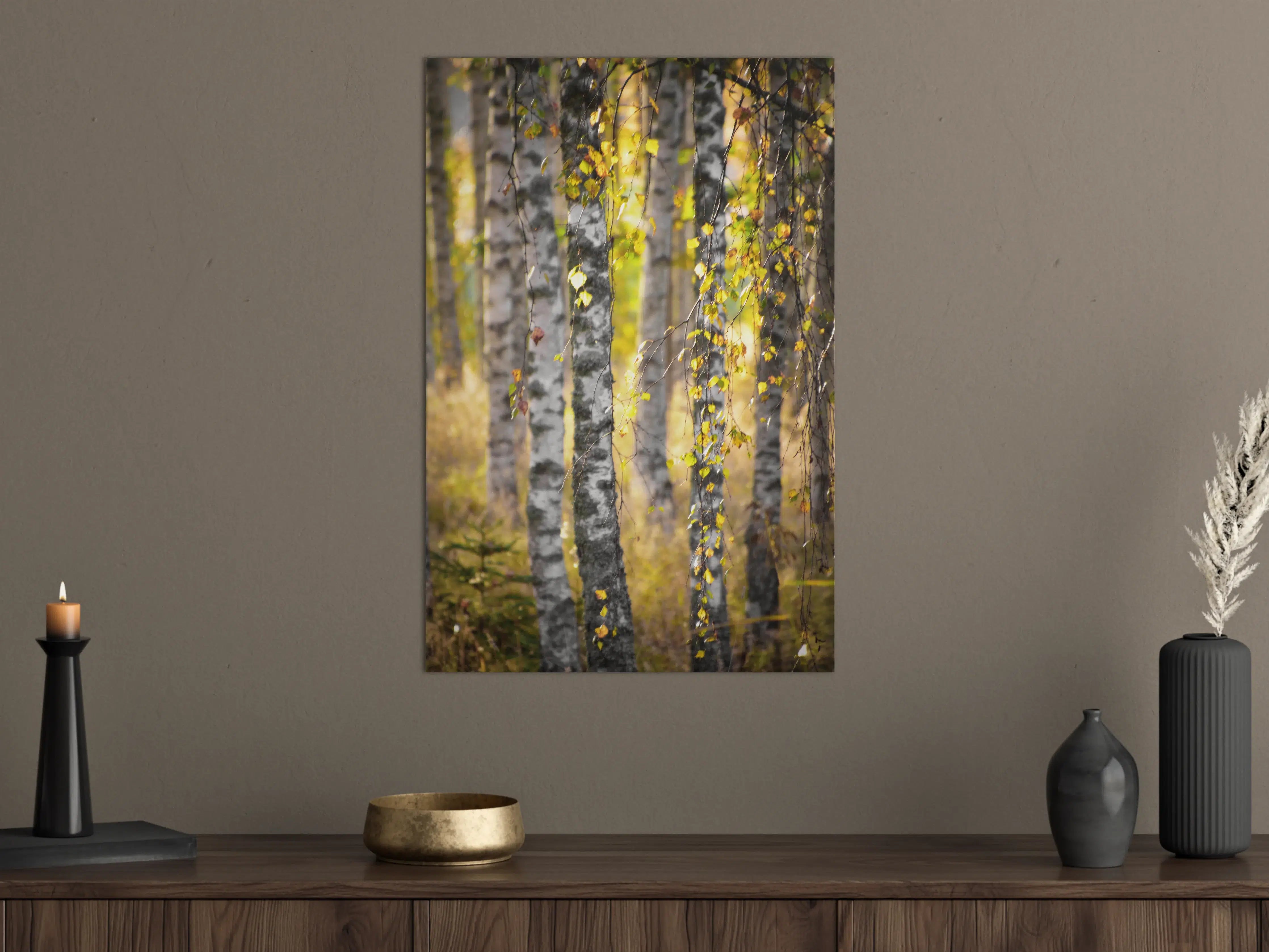 Große Wandbilder - Goldene Birken im Herbstlicht