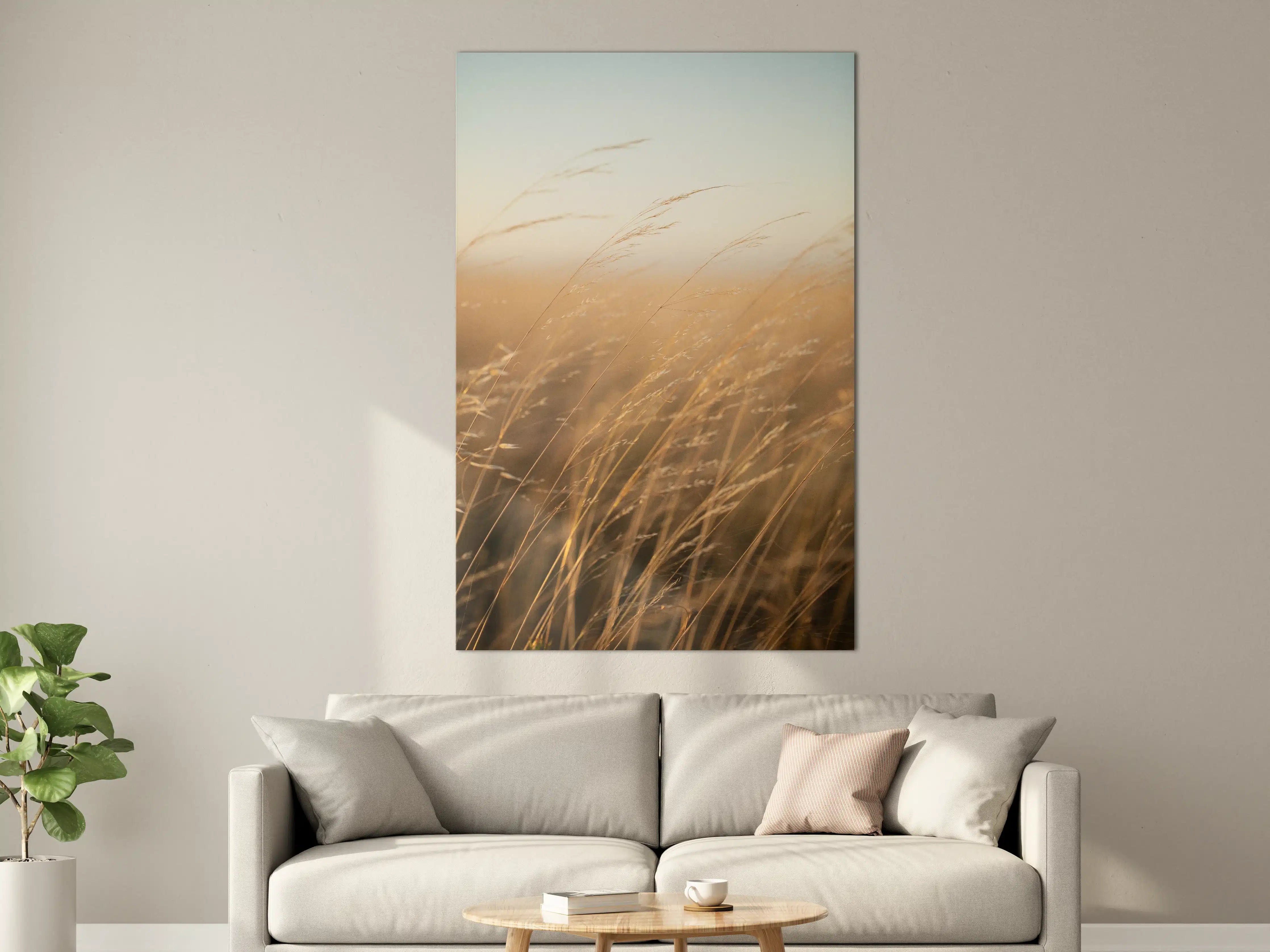 Große Wandbilder - Goldene Gräser im Sonnenlicht