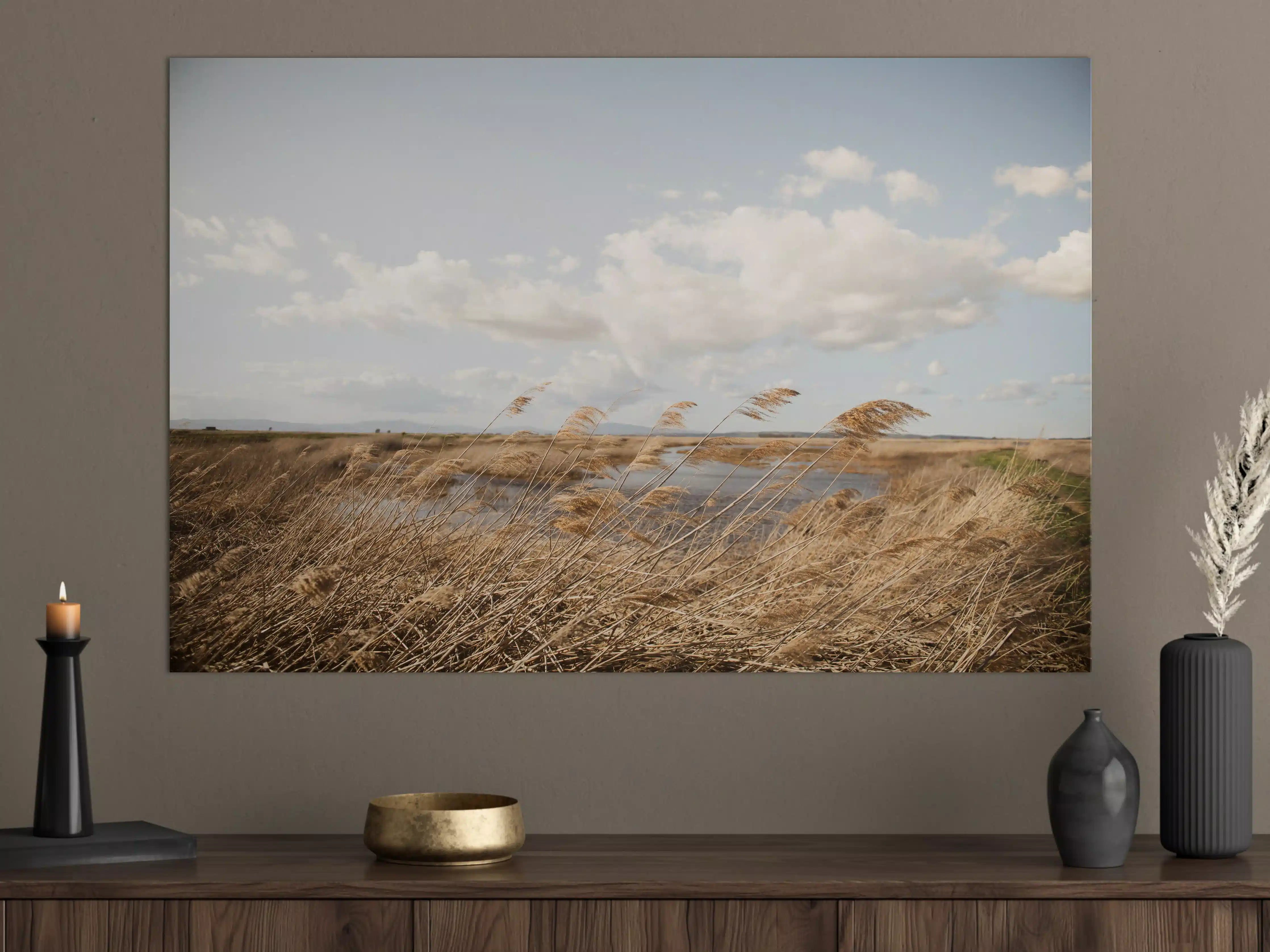 Große Wandbilder - Goldene Gräser im Wind