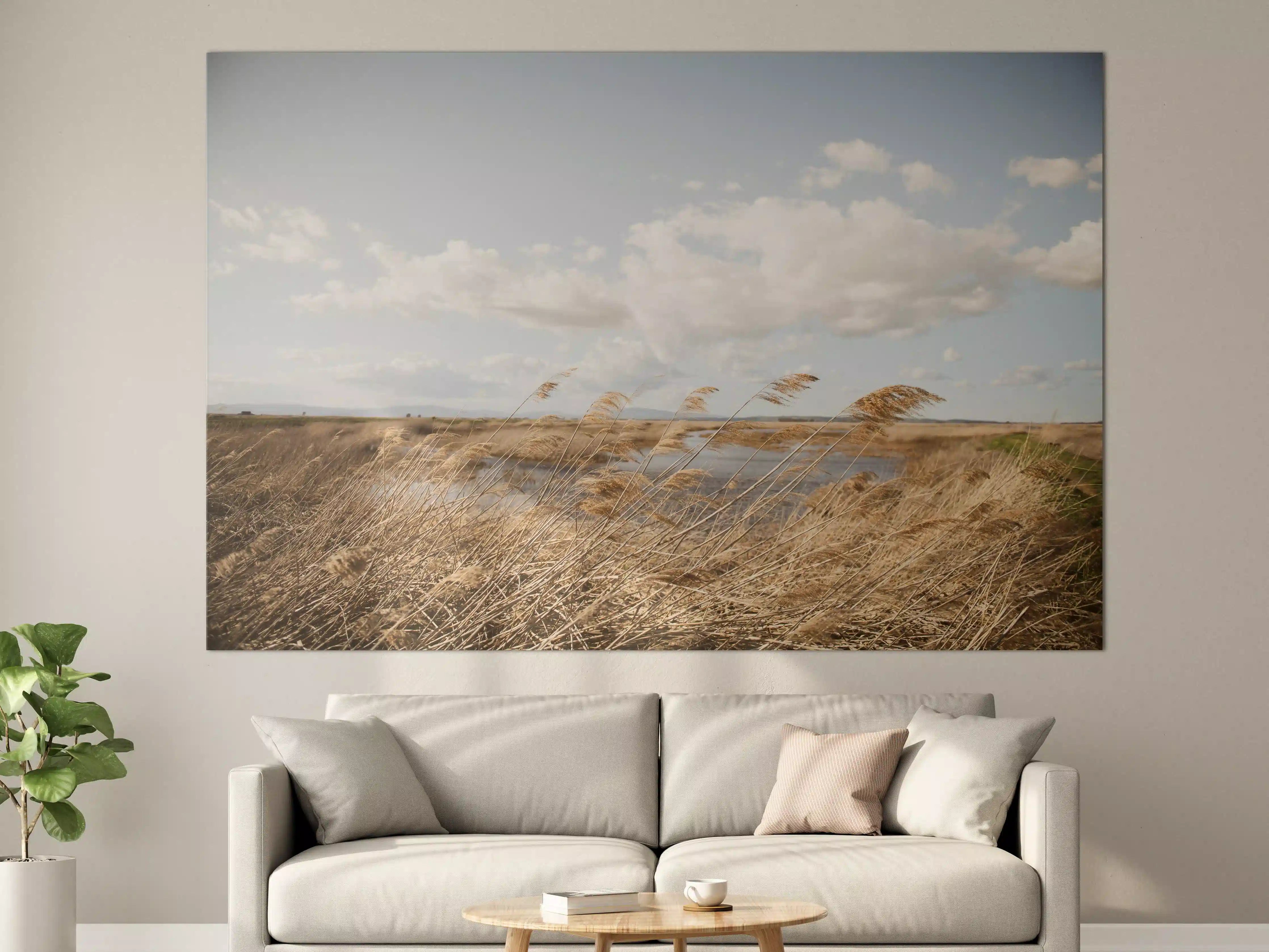 Große Wandbilder - Goldene Gräser im Wind