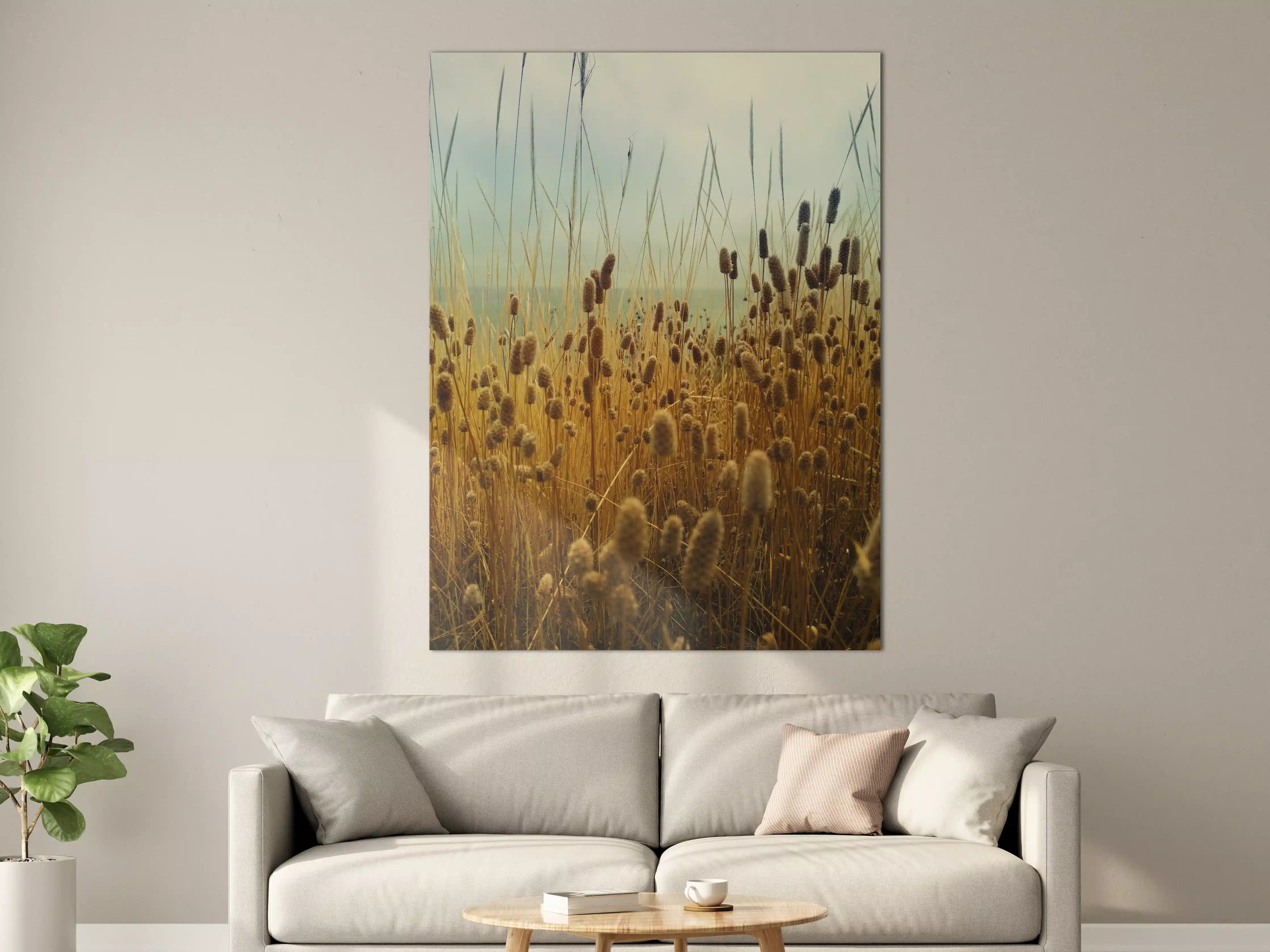 Große Wandbilder - Goldene Tallgrass im Sonnenlicht