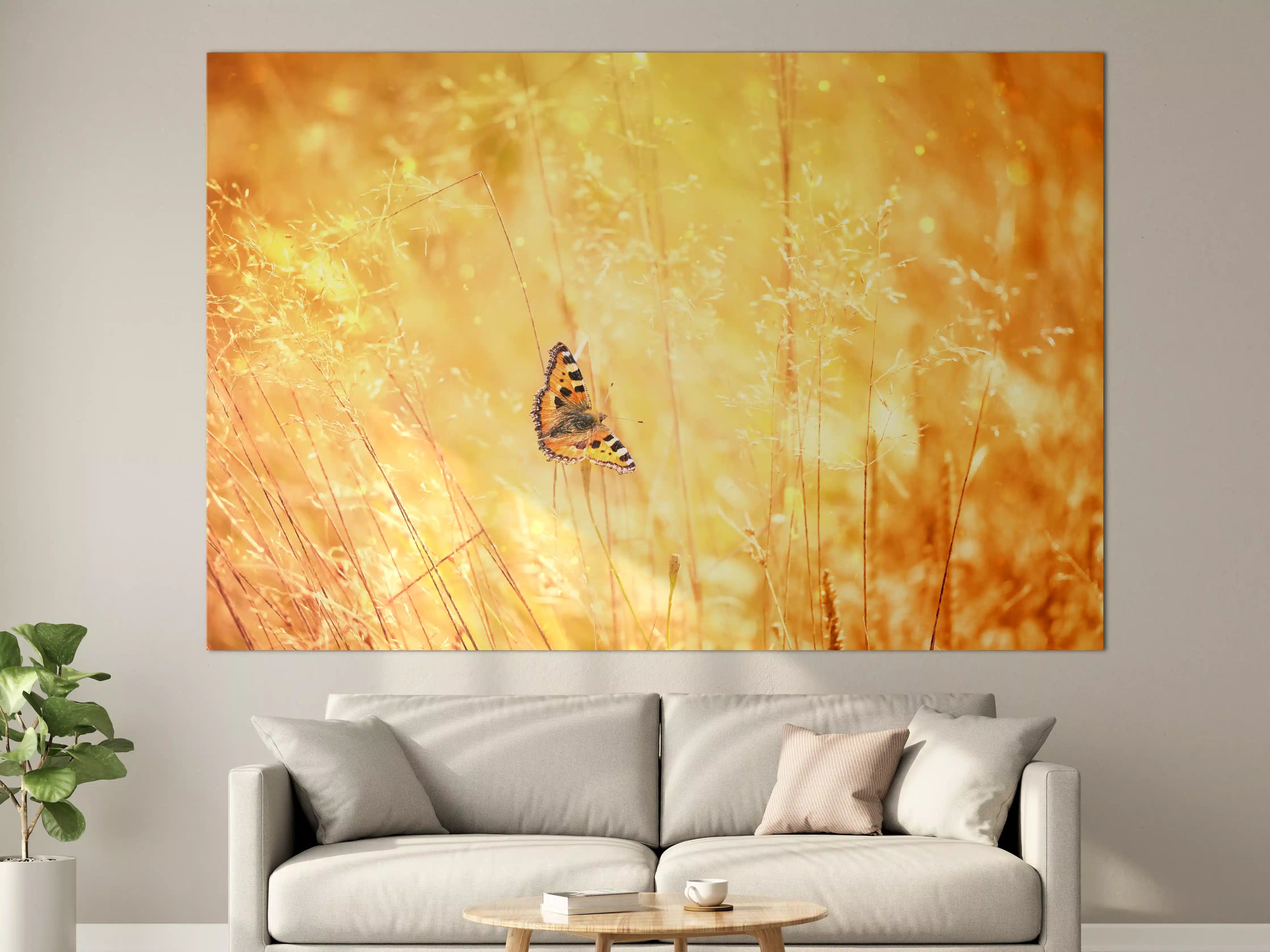 Große Wandbilder - Goldener Sonnenuntergang mit Schmetterling