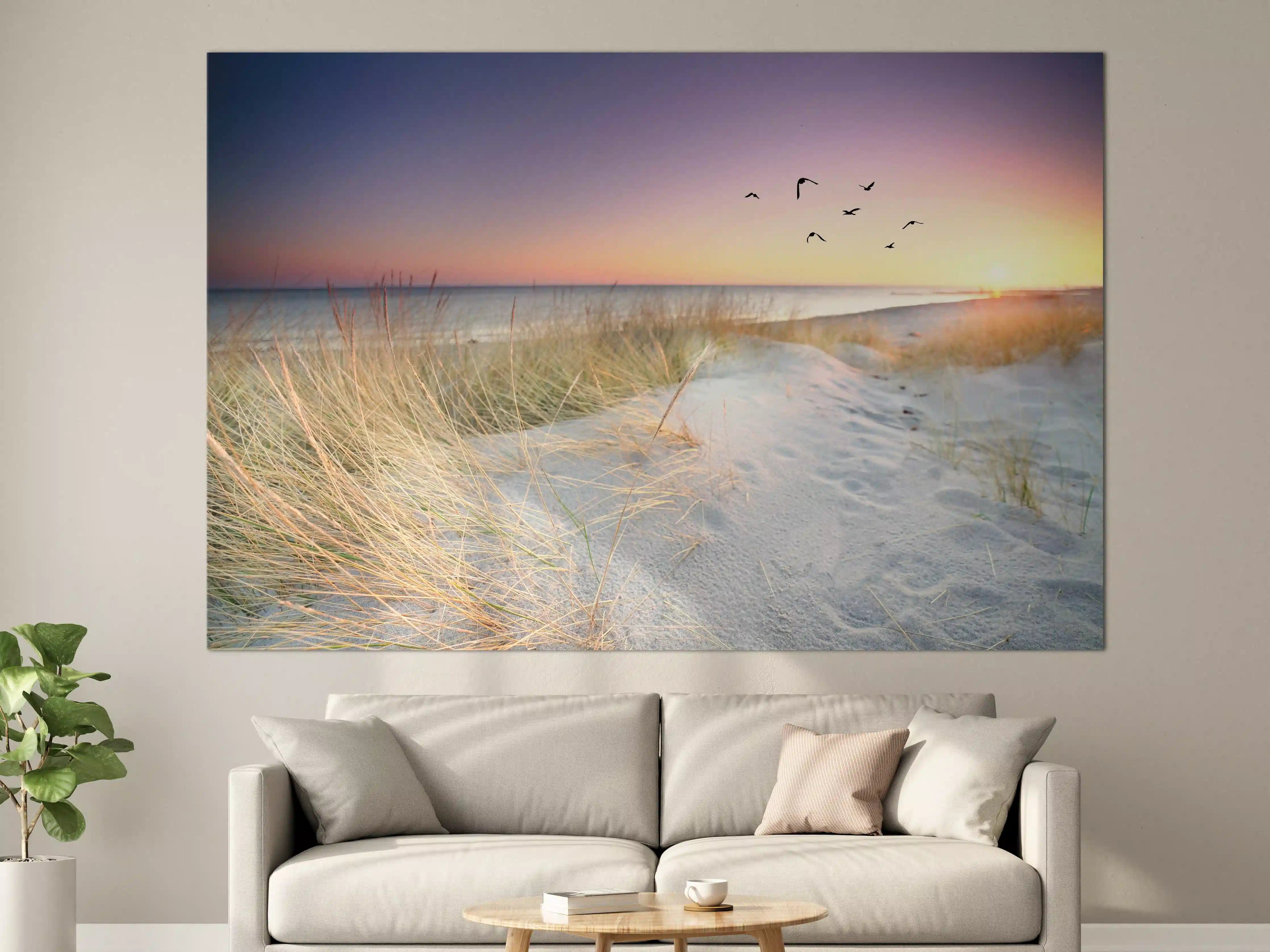 Große Wandbilder - Goldenes Sonnenlicht an der Ostsee