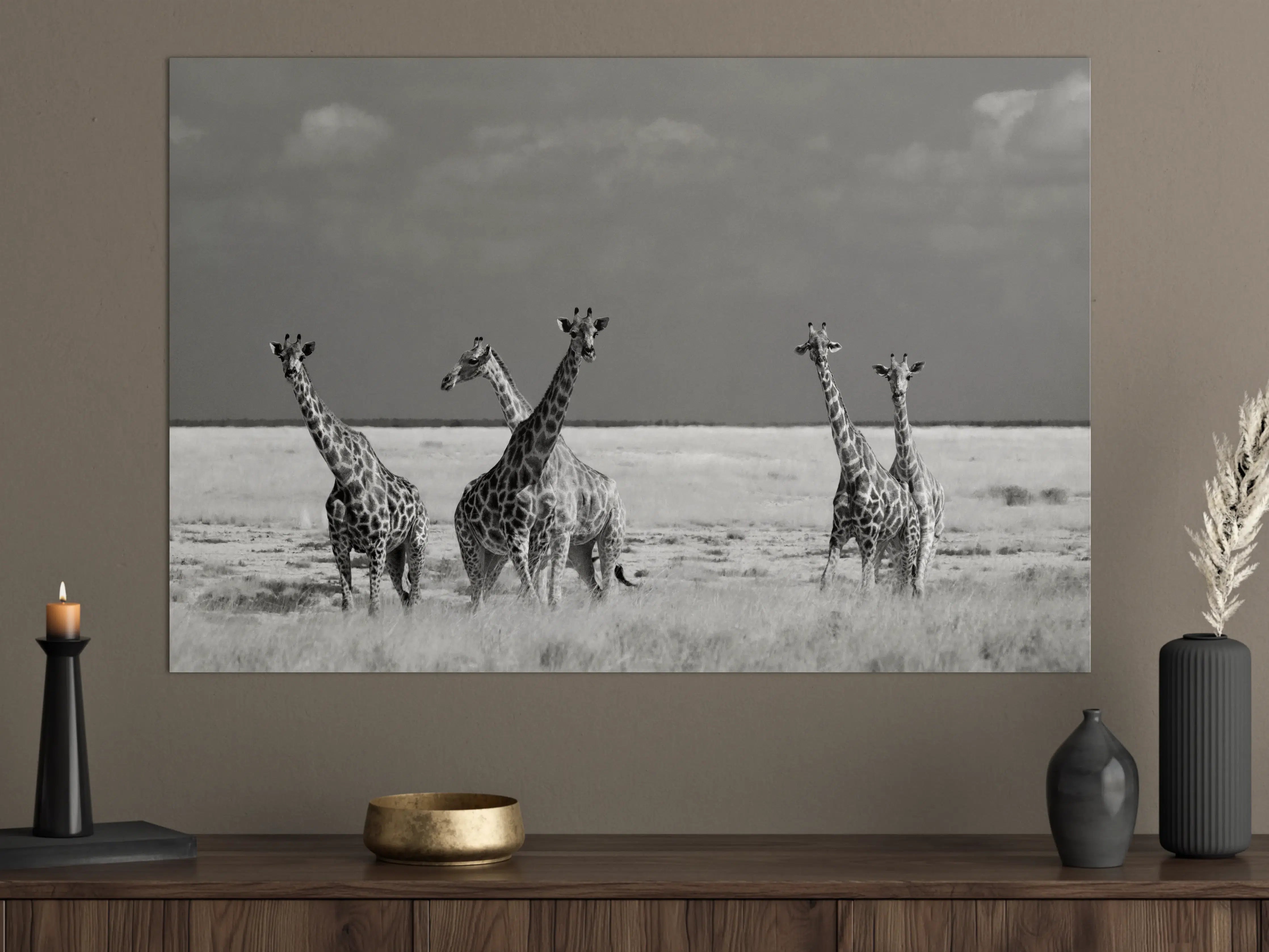 Große Wandbilder - Graue Giraffen im Sonnenlicht