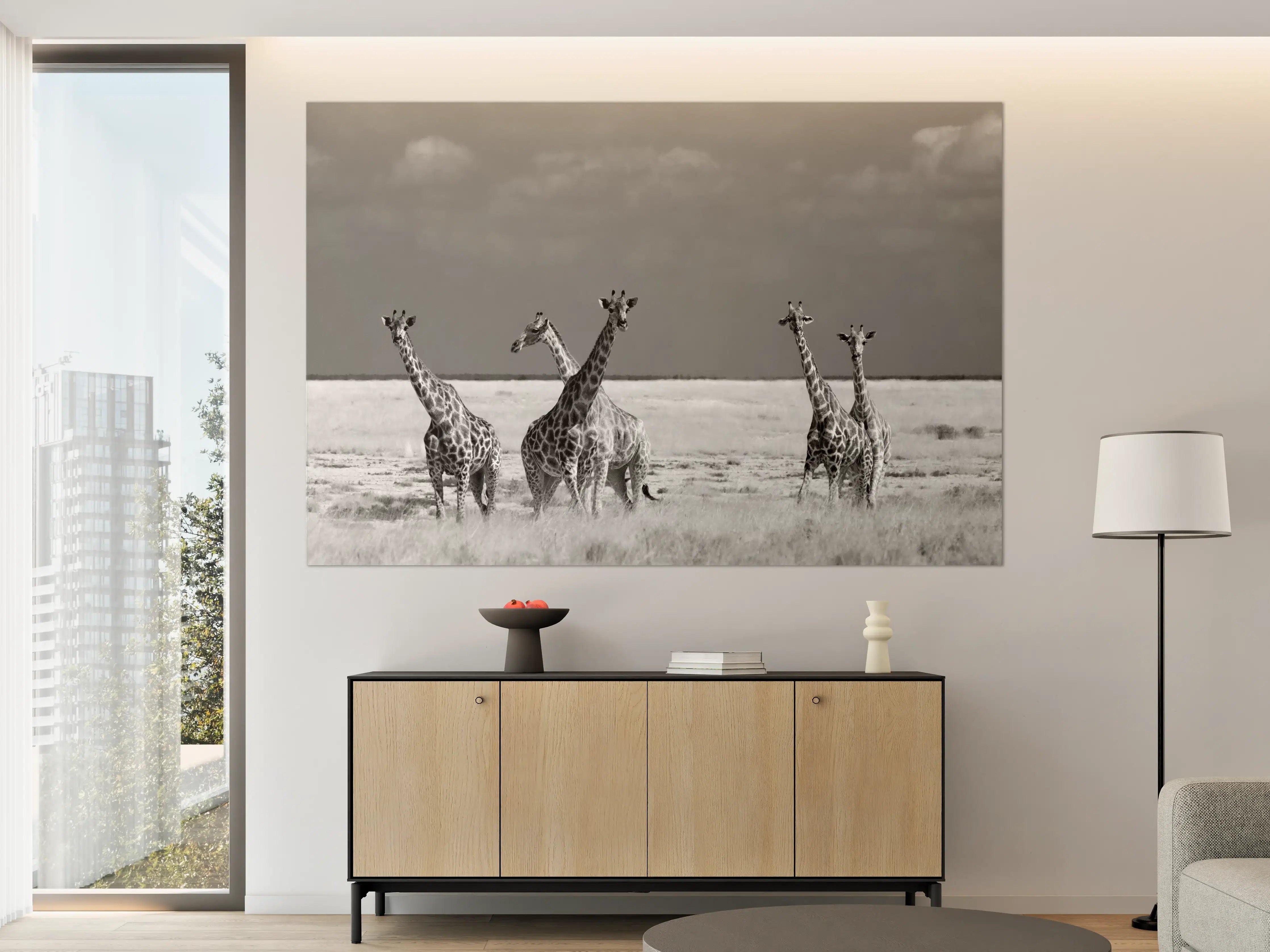 Große Wandbilder - Graue Giraffen im Sonnenlicht