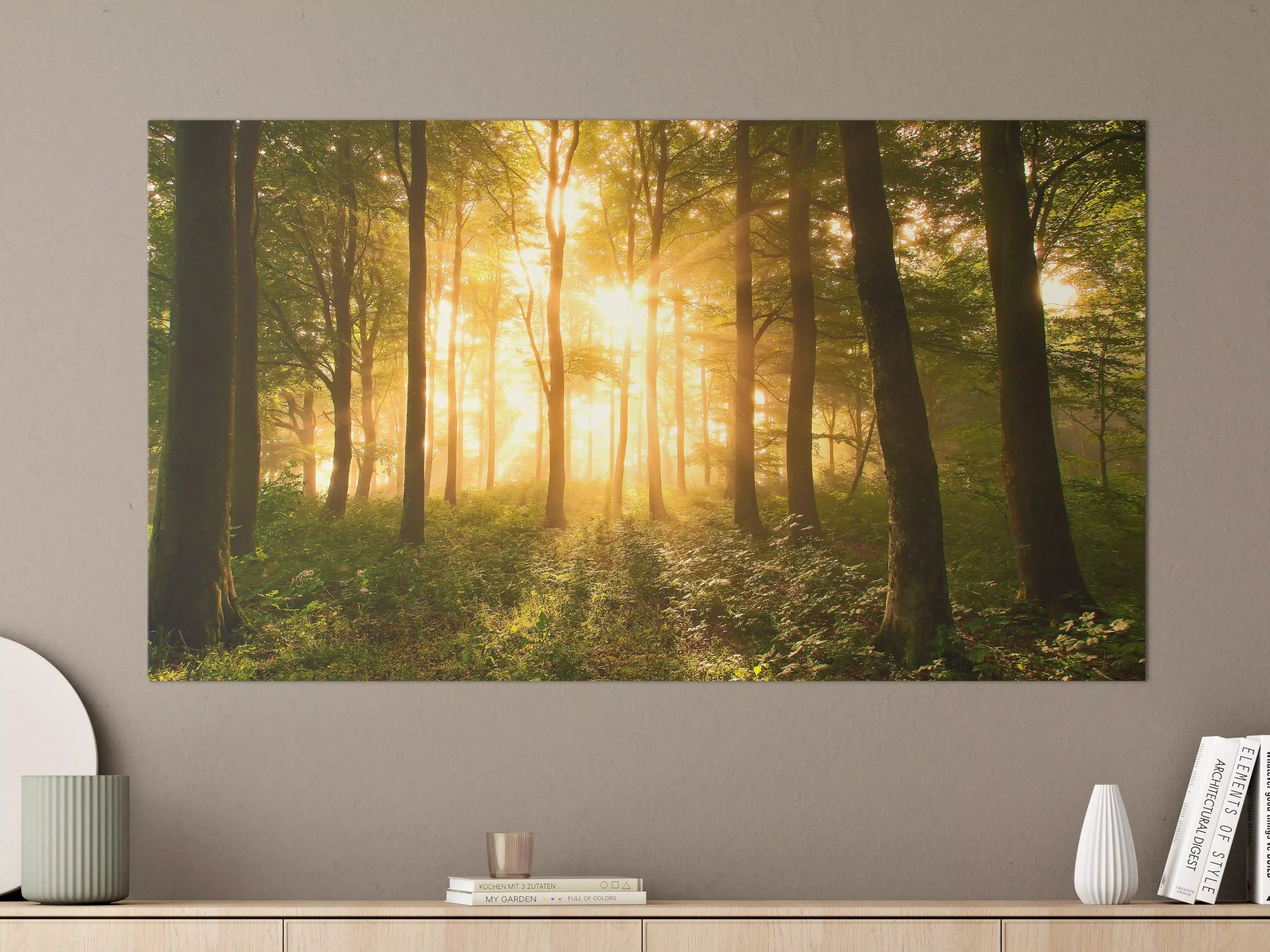 Große Wandbilder - Graue Lichtspuren im Wald
