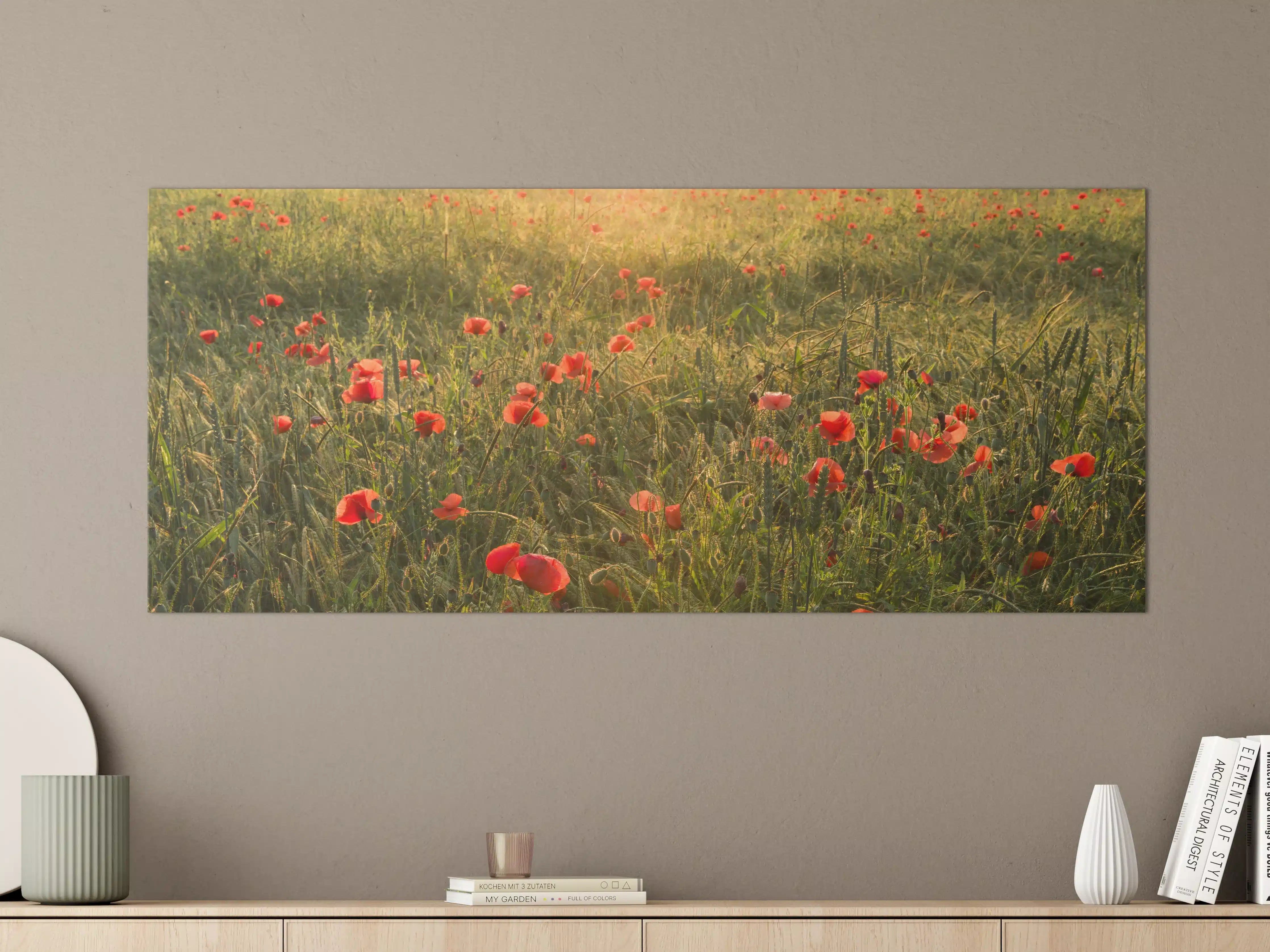 Große Wandbilder - Graue Mohnblüten im Sonnenstrahl