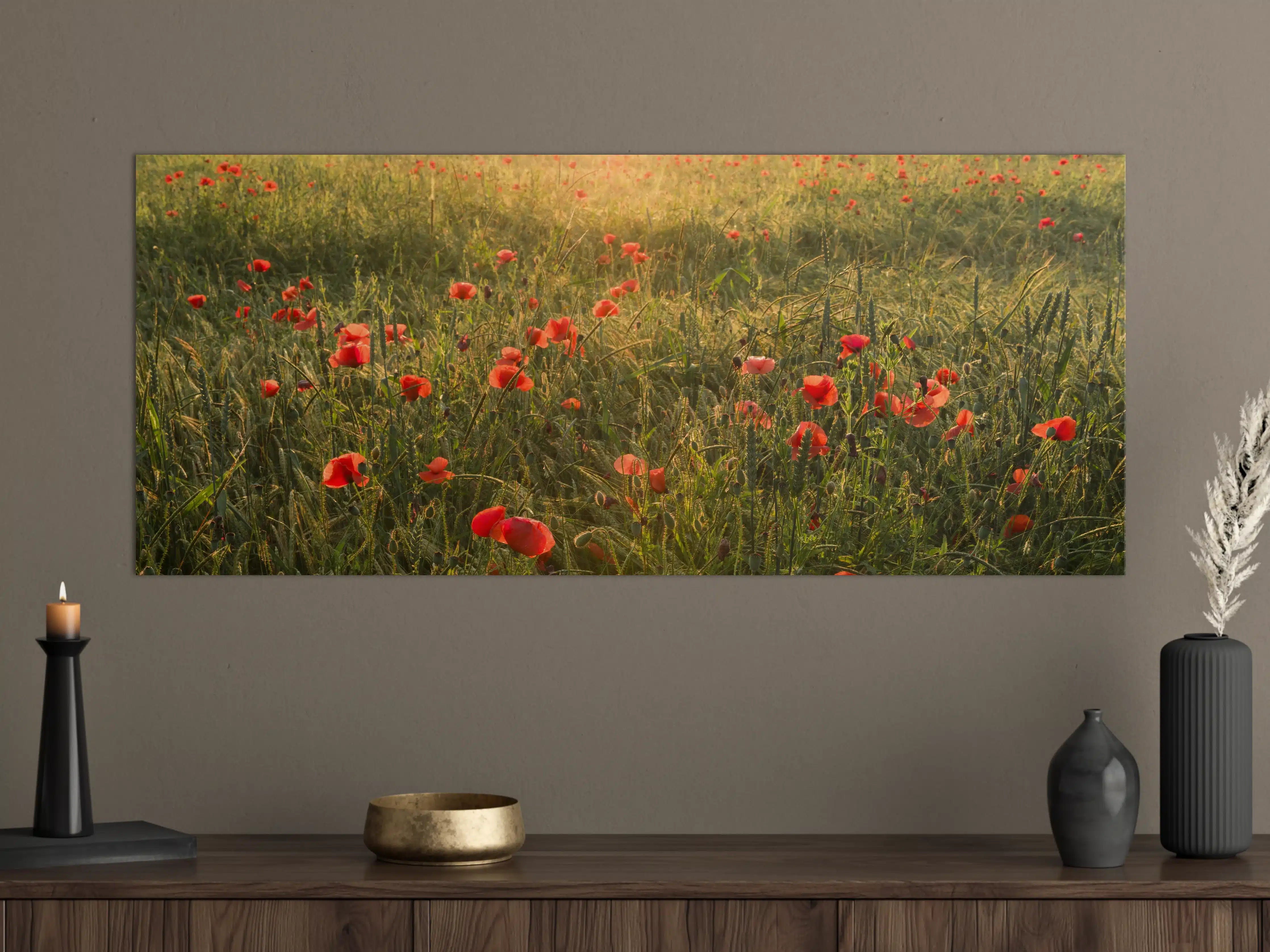 Große Wandbilder - Graue Mohnblüten im Sonnenstrahl