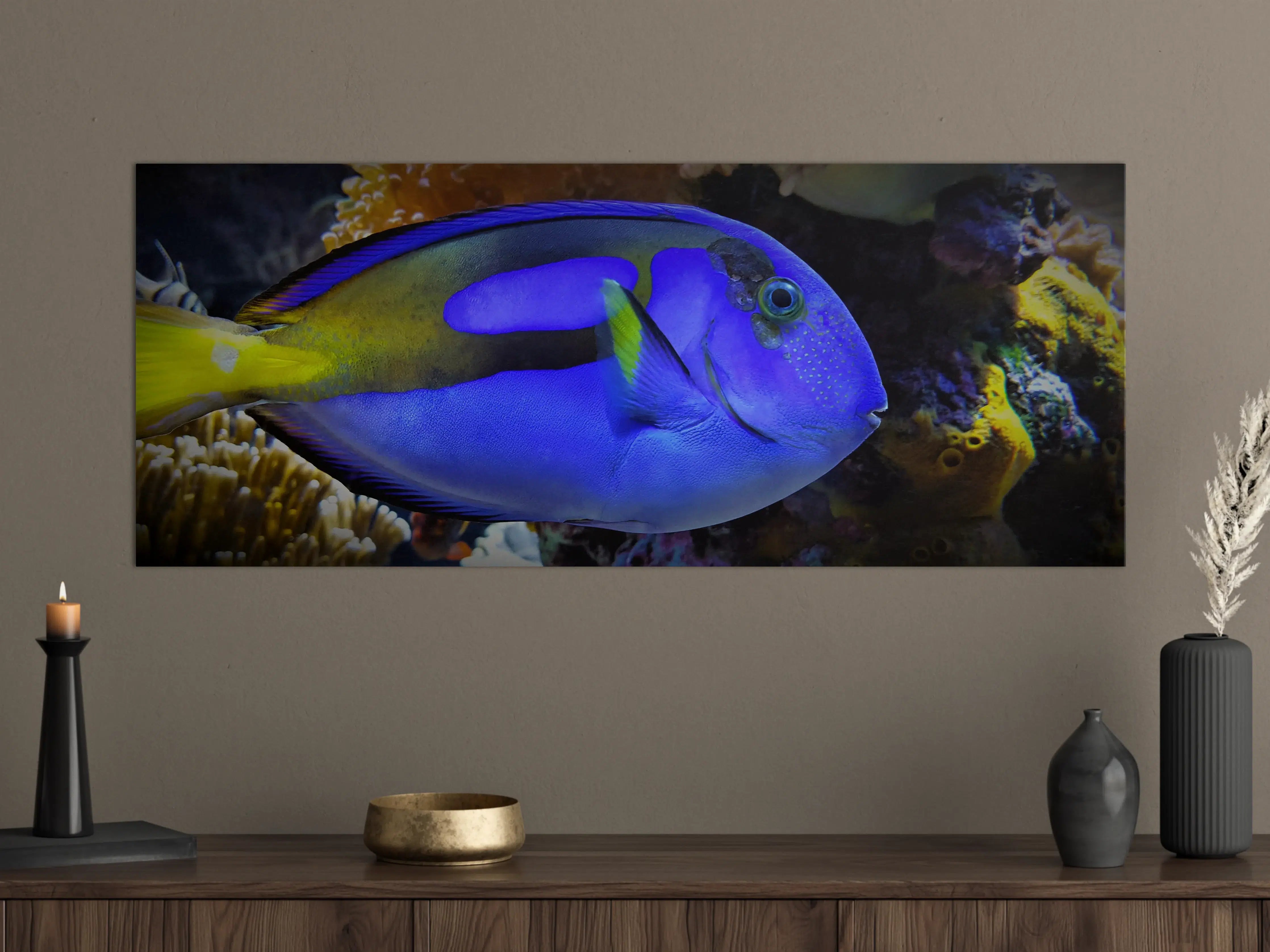 Große Wandbilder - Grauer Fisch vor bunten Korallen