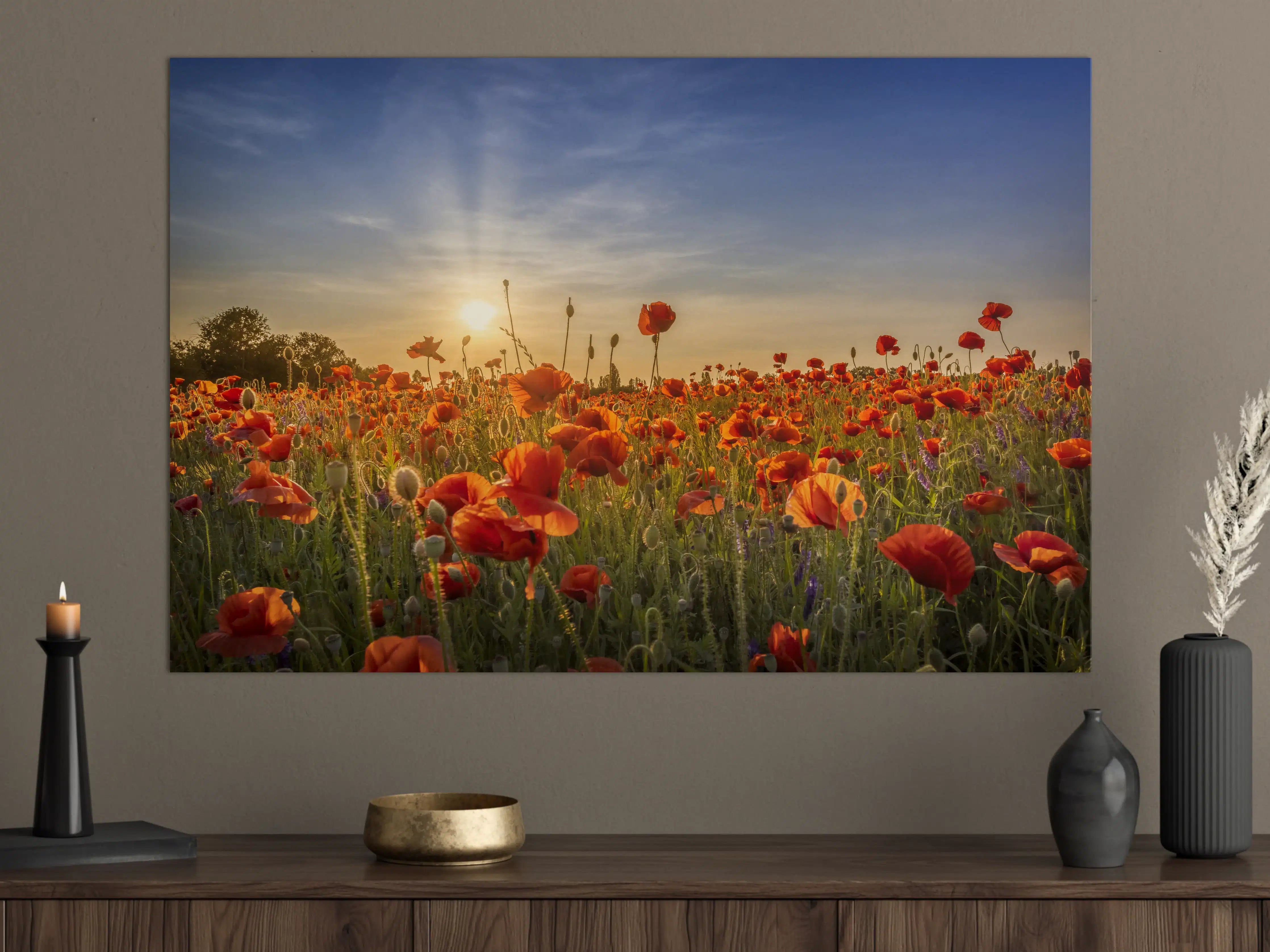 Große Wandbilder - Grauwe Mohnblüten im Abendlicht