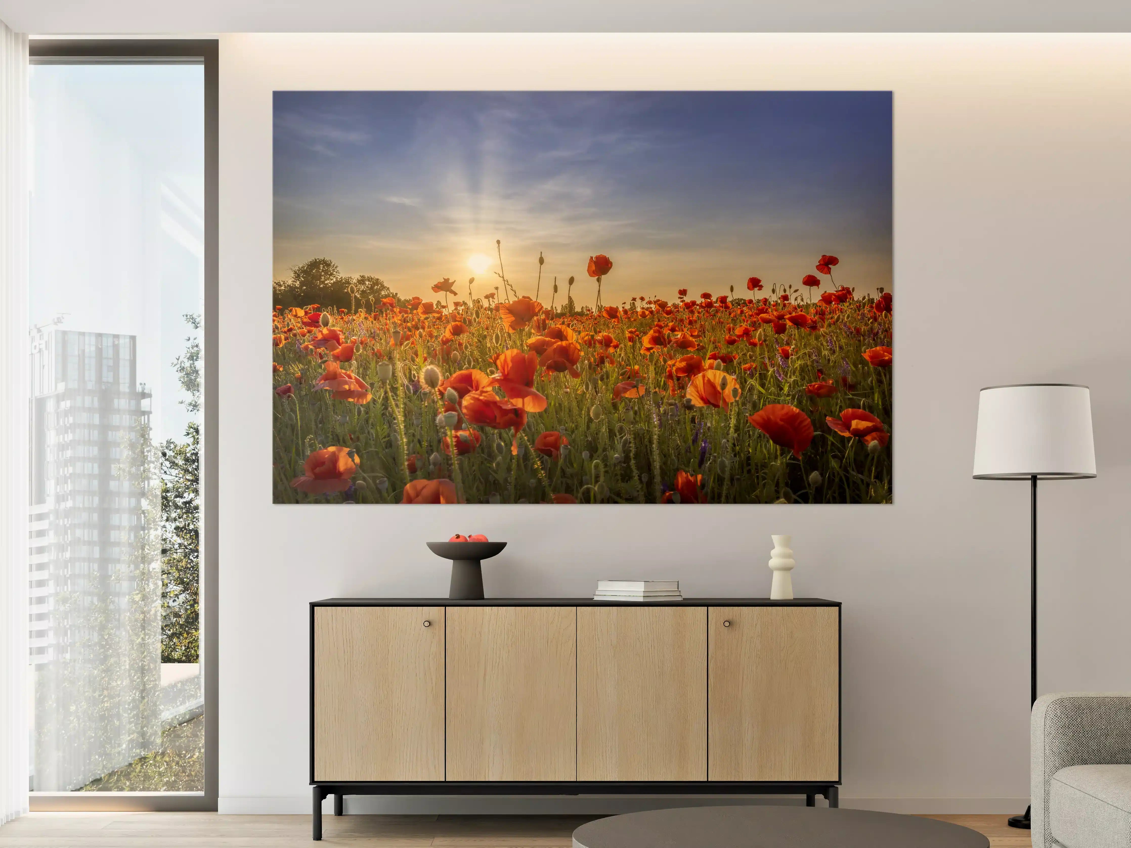 Große Wandbilder - Grauwe Mohnblüten im Abendlicht