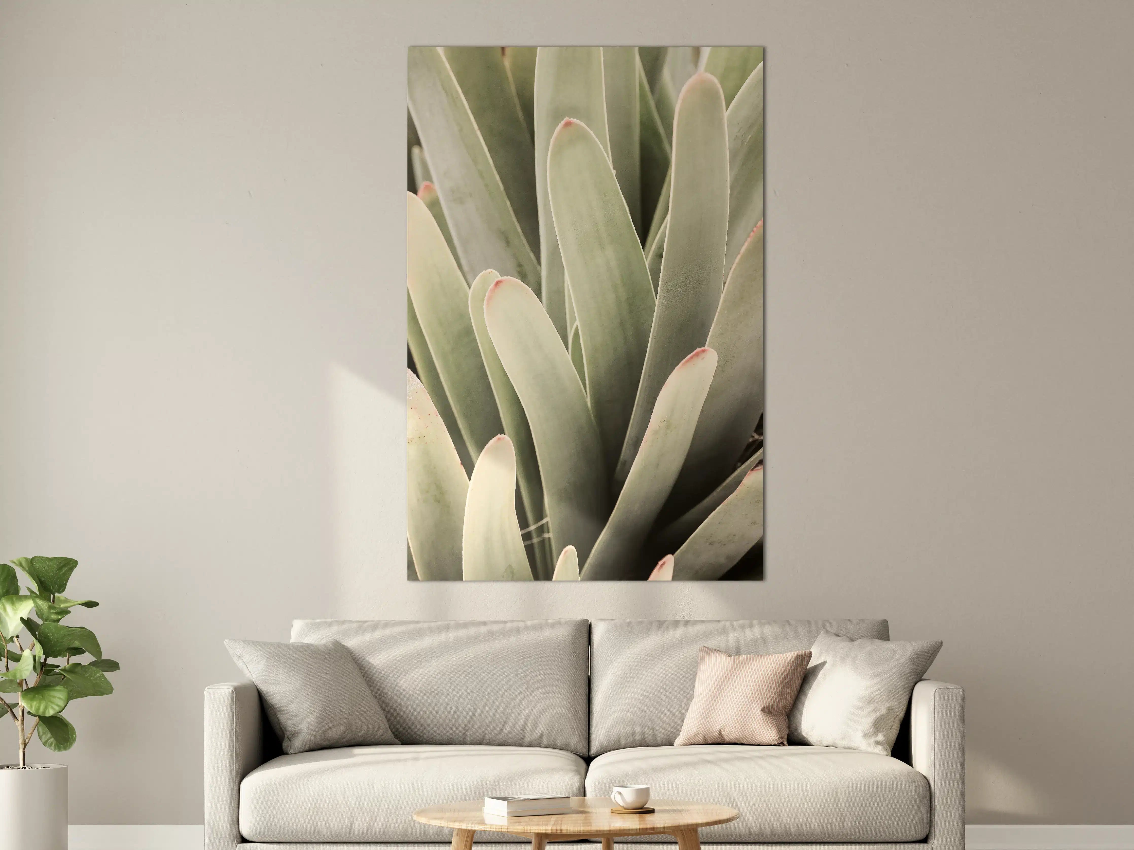 Große Wandbilder - Grüne Aloe-Vera-Textur