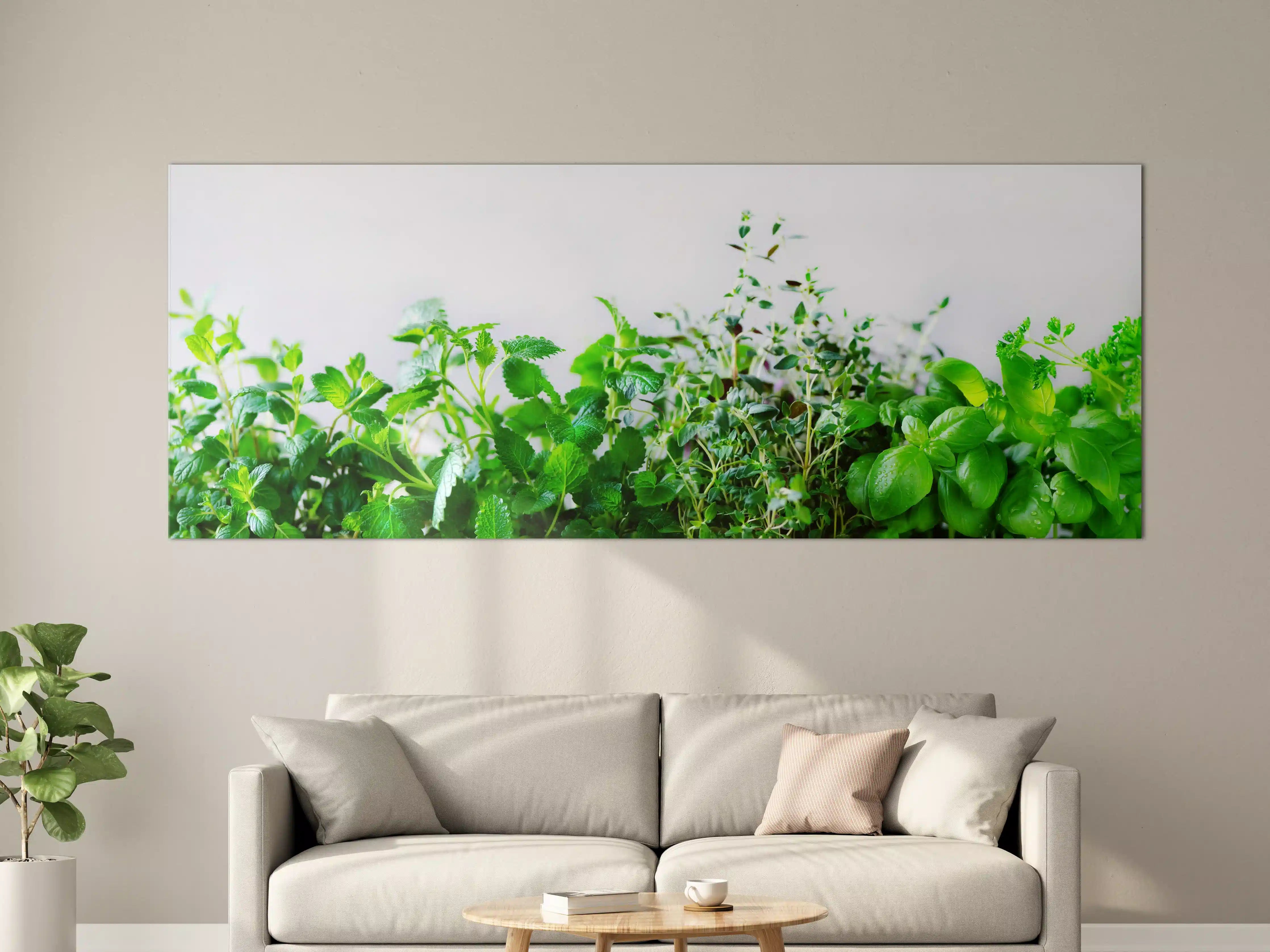 Große Wandbilder - Grüne frische Kräuter