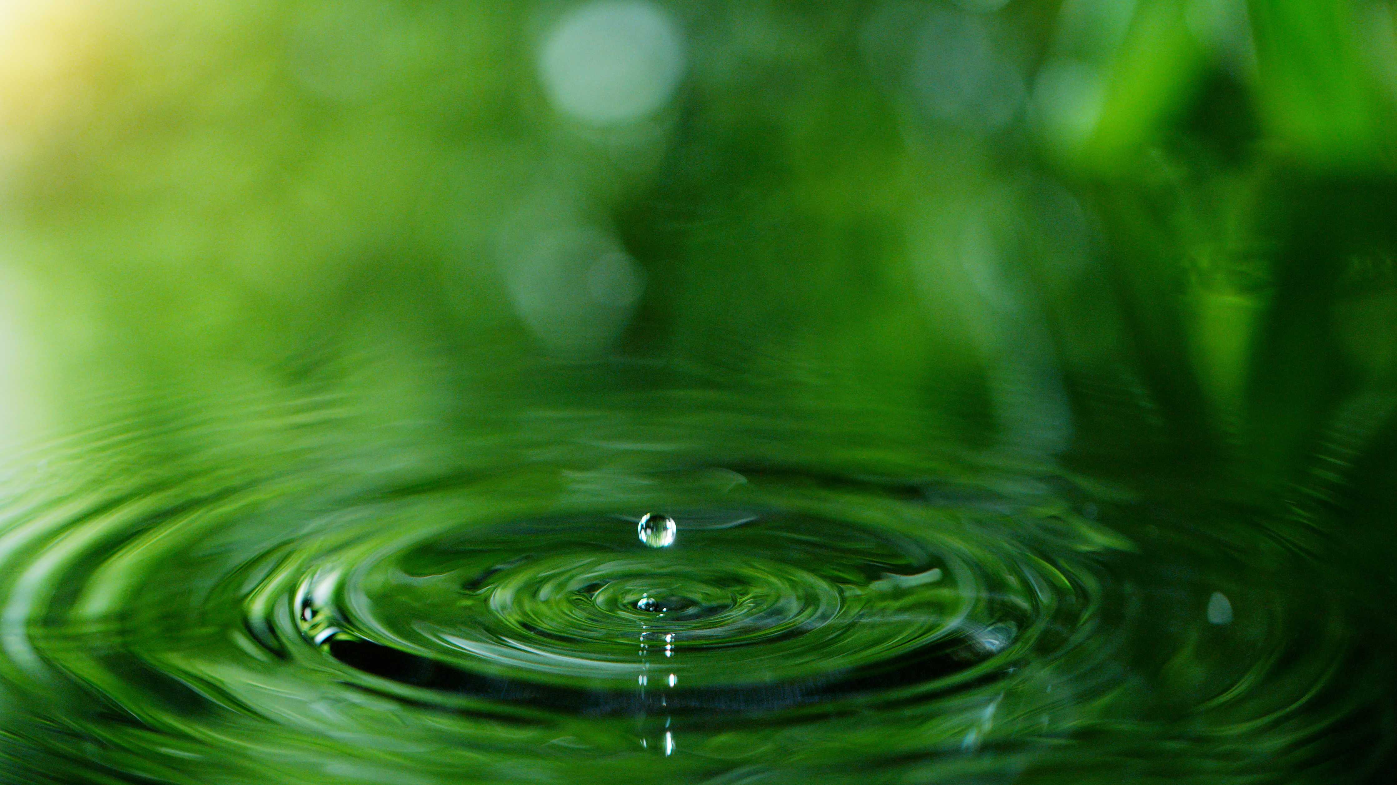 Große Wandbilder-Grüner Wassertropfen im Zen-Garten