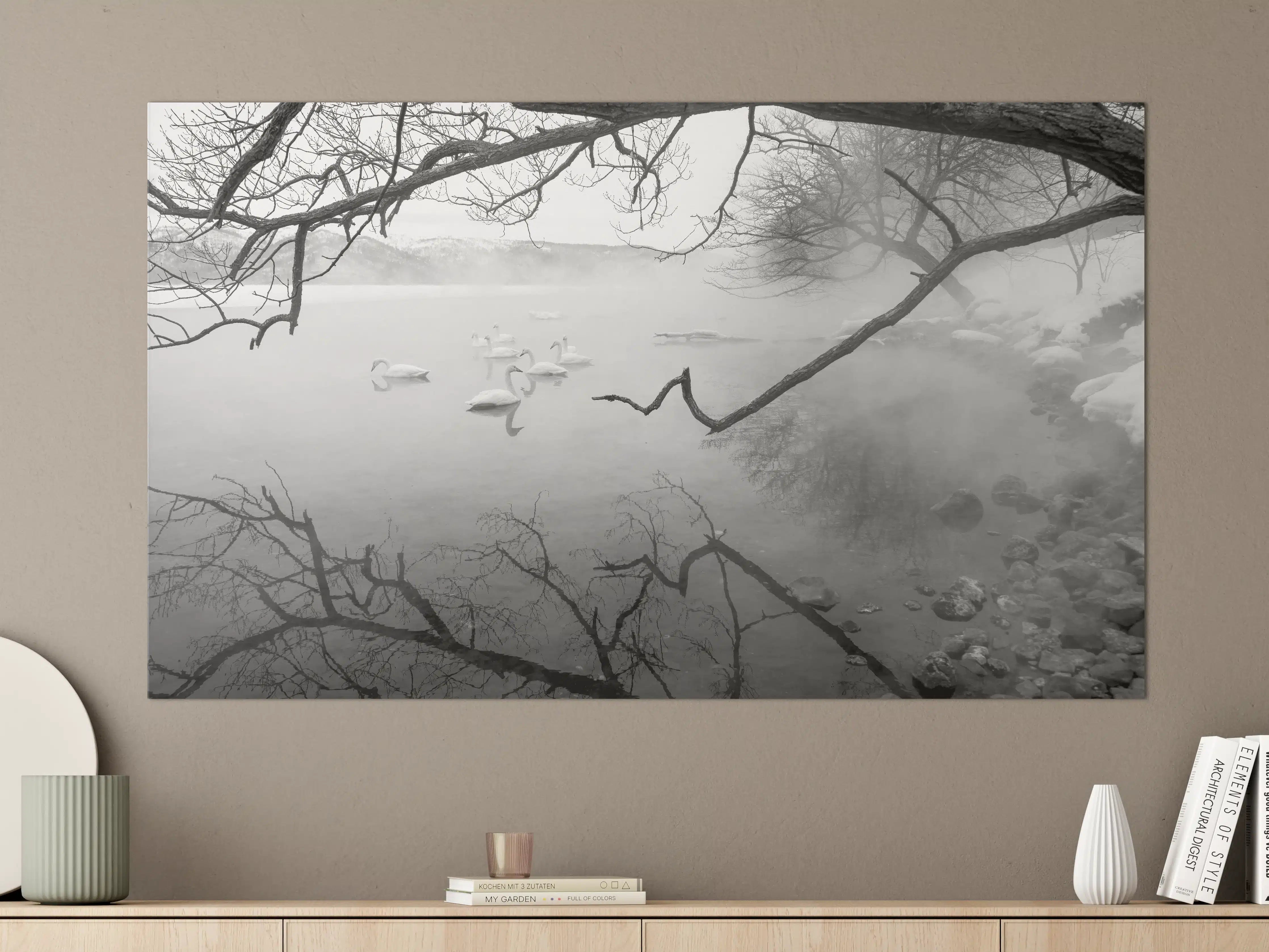 Große Wandbilder - Heiße Quelle mit Schwänen