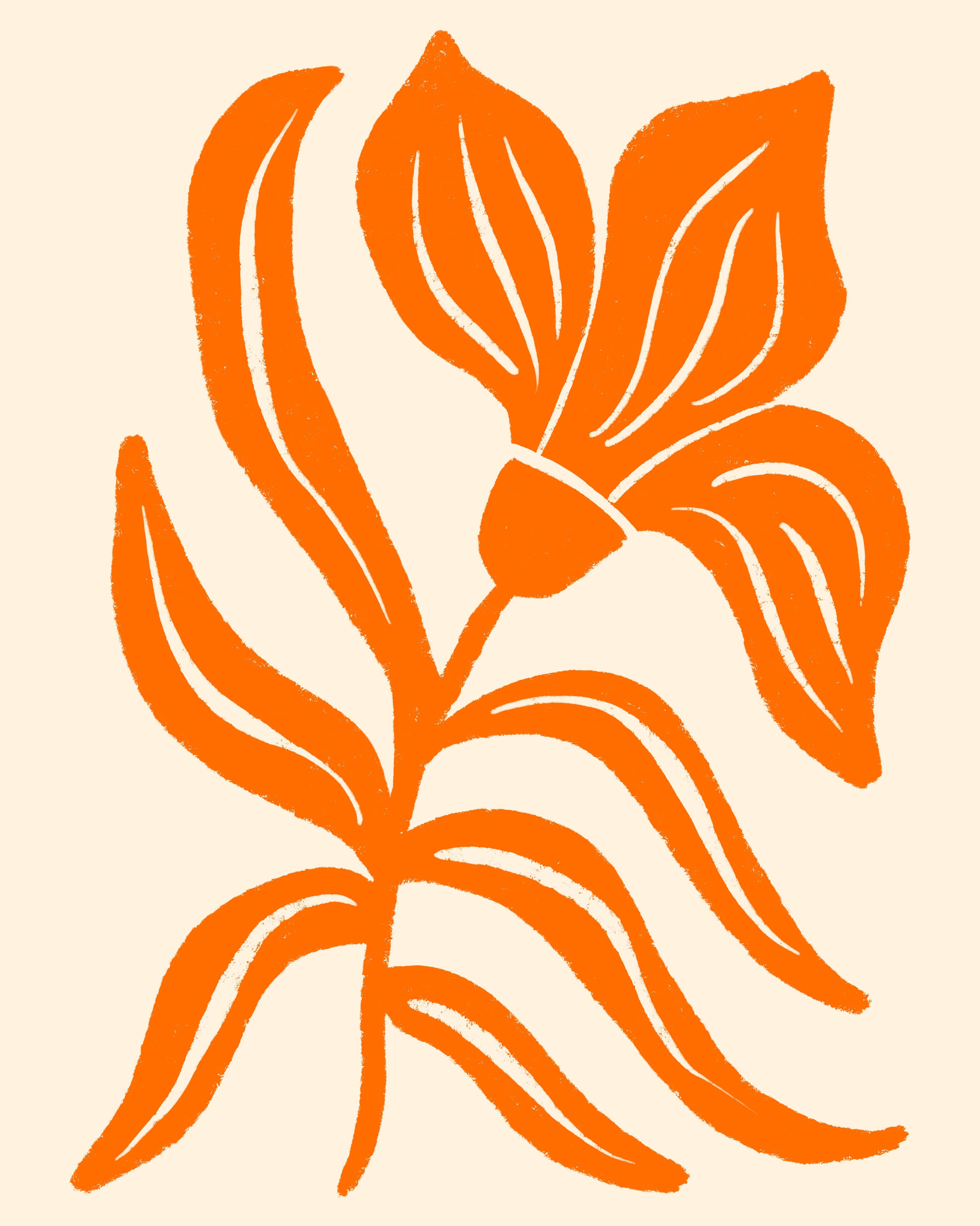 Große Wandbilder-Helle Orange Blumenillustration