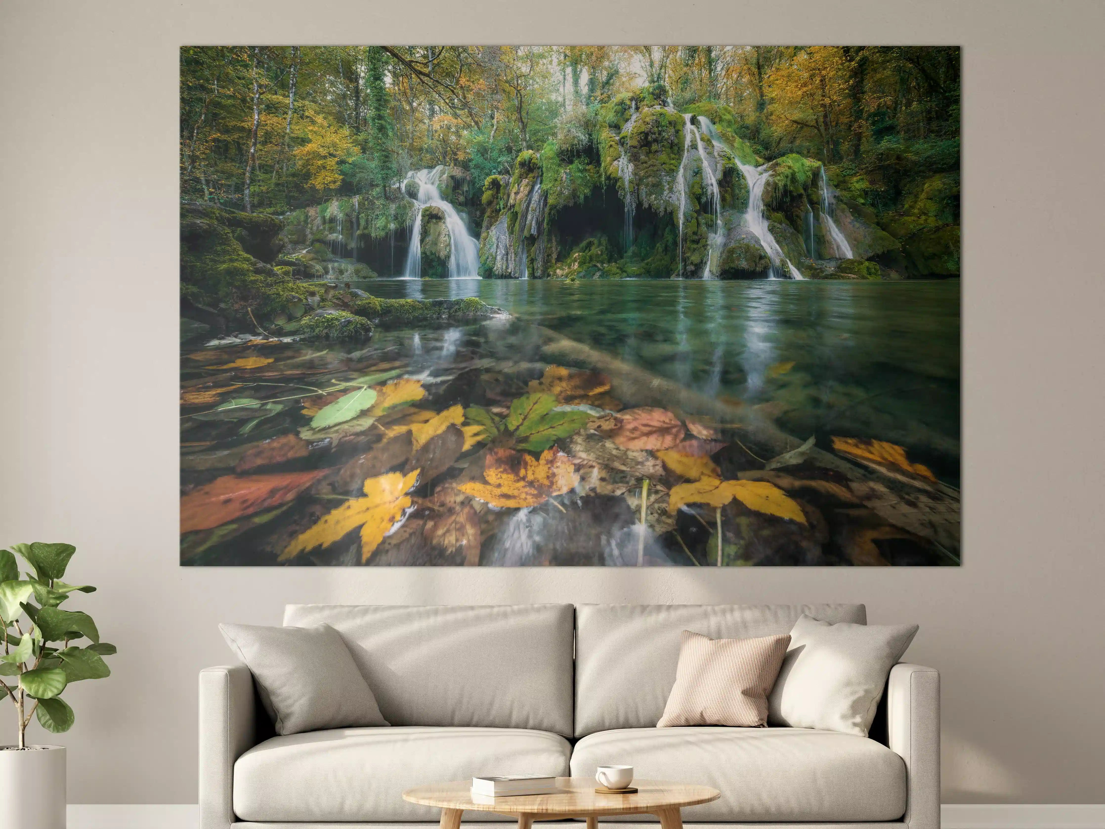 Große Wandbilder - Herbstblätter im See
