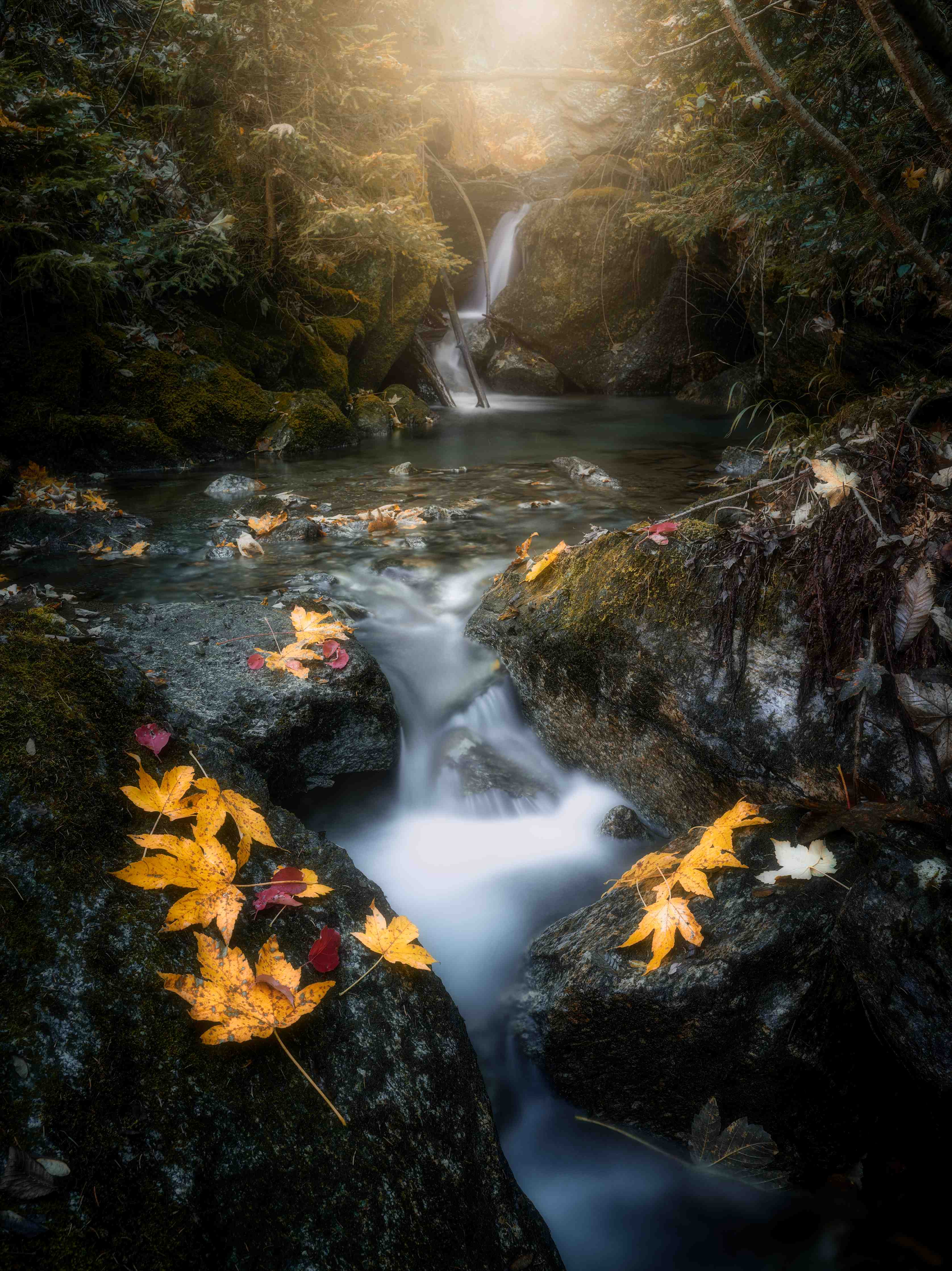Große Wandbilder-Herbstliche Flusslandschaft mit Wasserfall