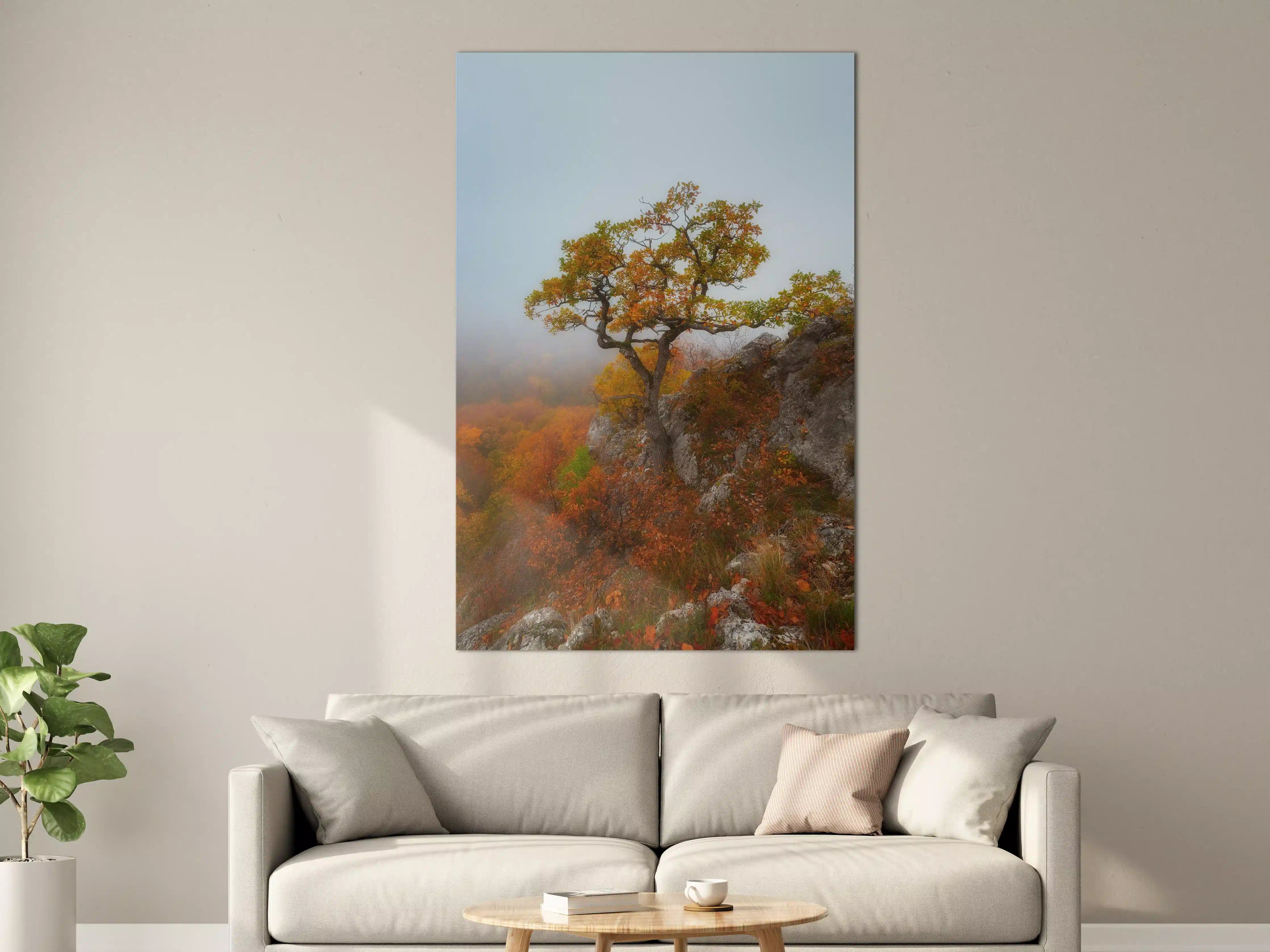 Große Wandbilder - Herbstlicher Baum auf Felsen