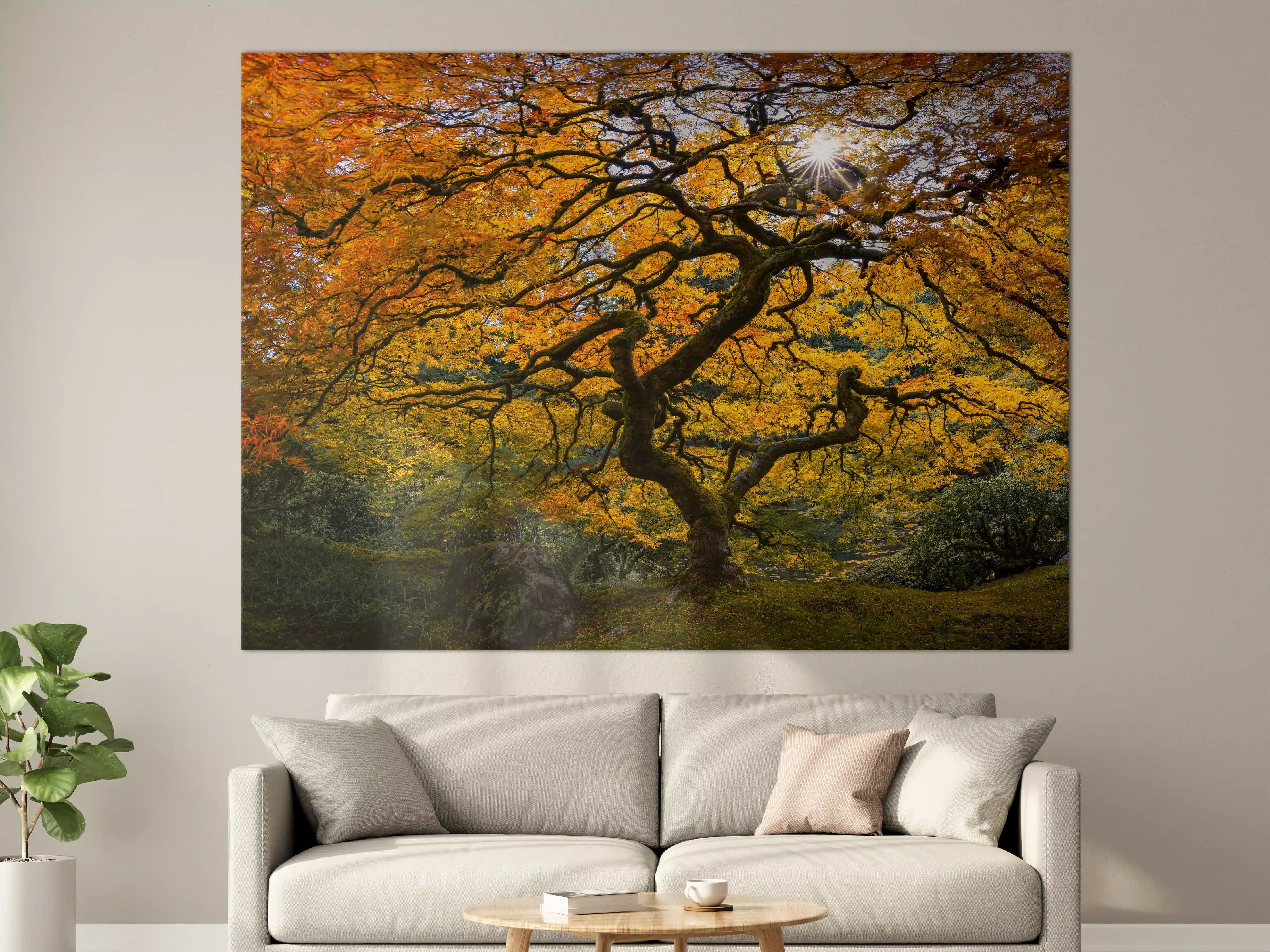 Große Wandbilder - Herbstlicher Baum in warmen Farbtönen
