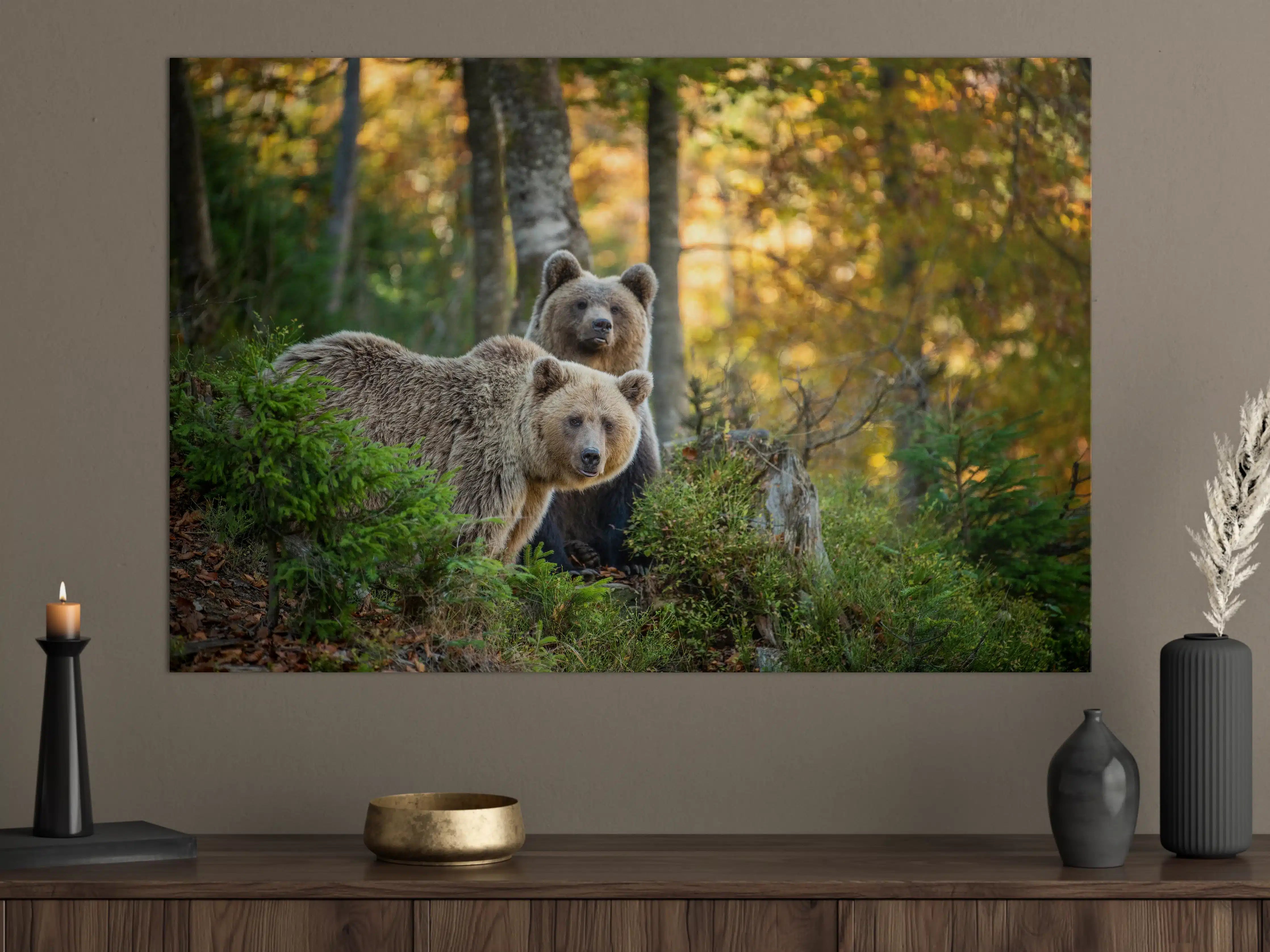 Große Wandbilder - Herbstlicher Braunbär im Wald
