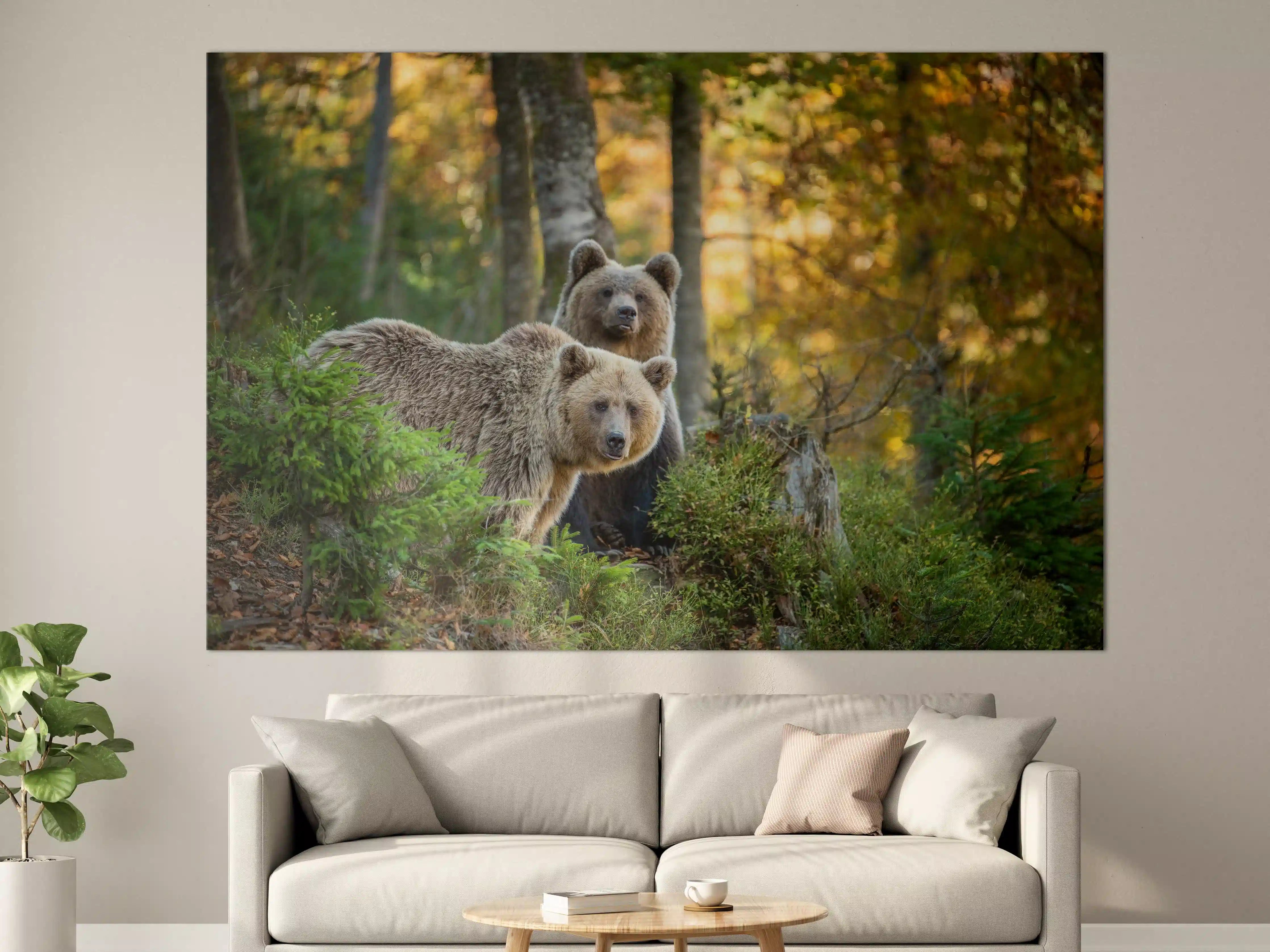 Große Wandbilder - Herbstlicher Braunbär im Wald