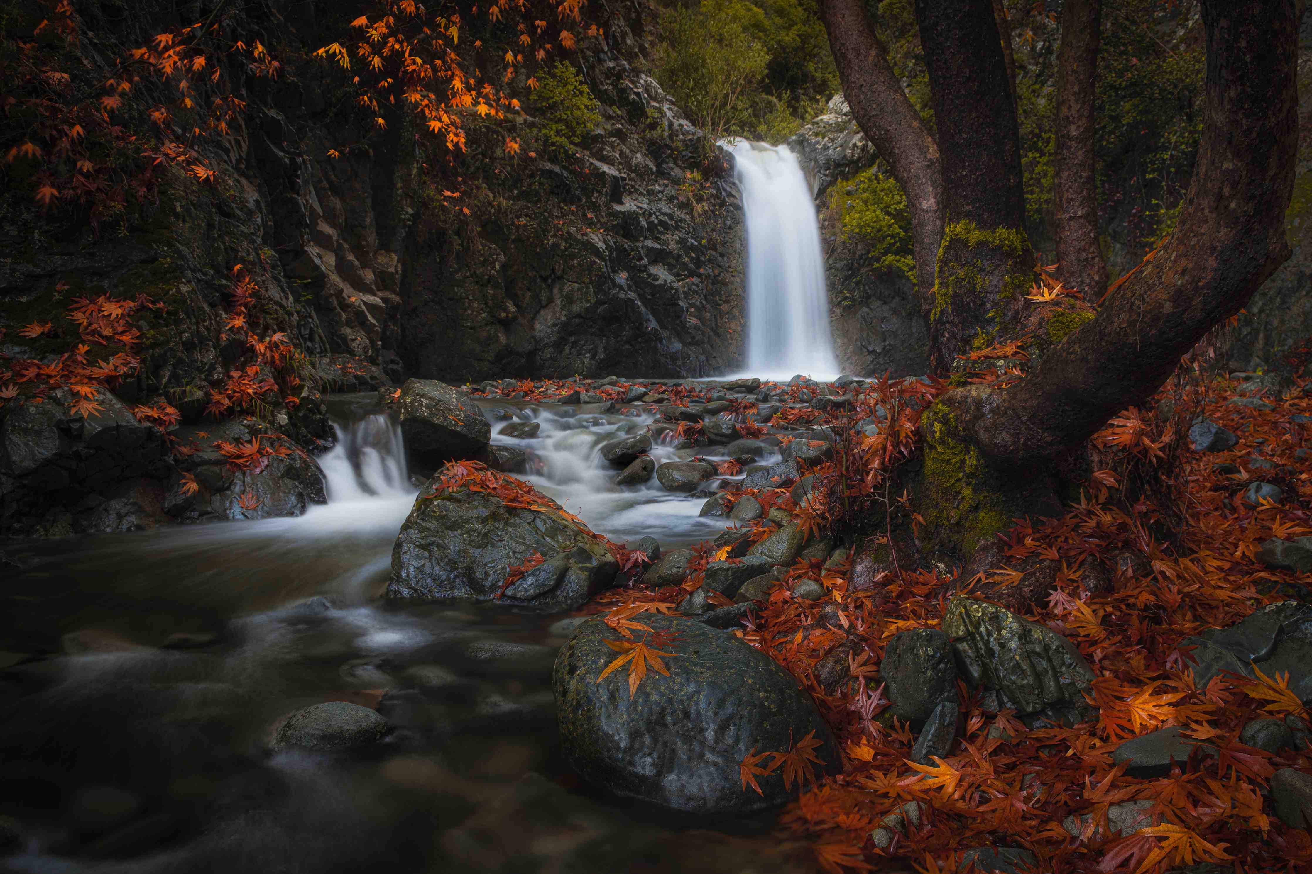 Große Wandbilder-Herbstlicher Wasserfall inmitten des Waldes