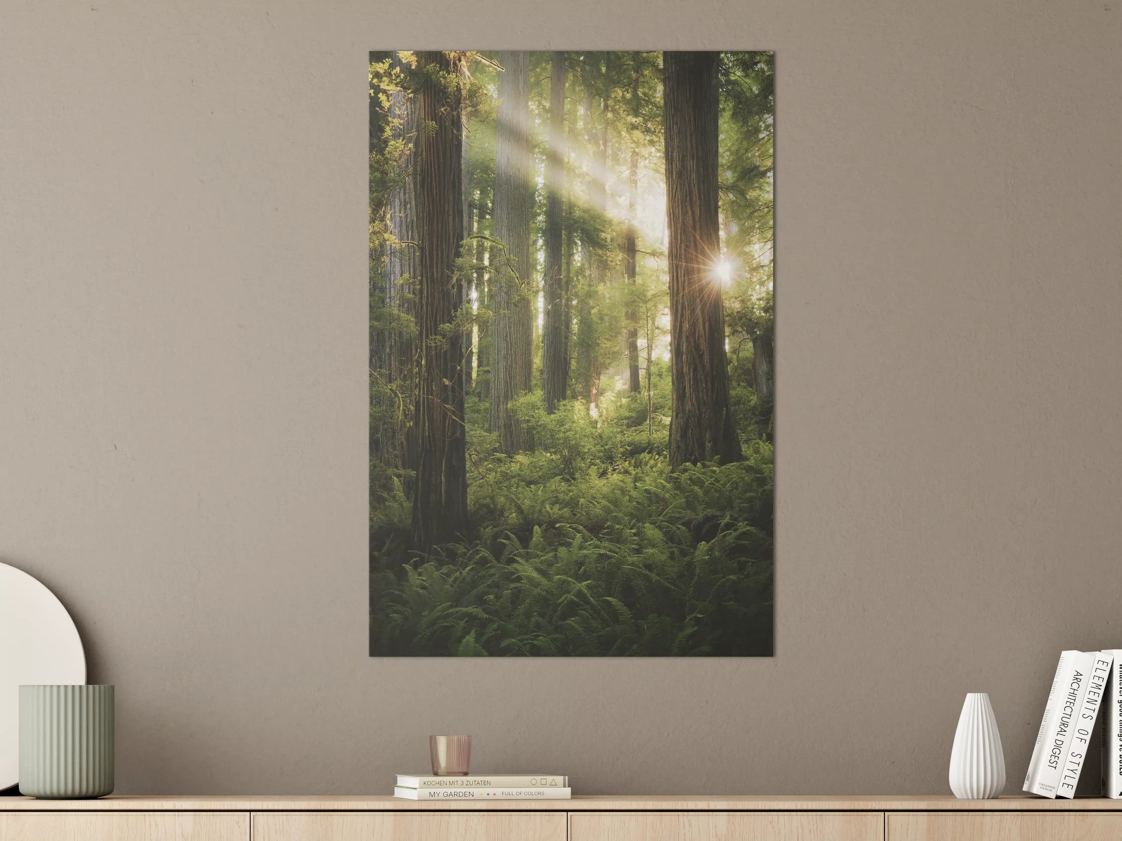 Große Wandbilder - Herbstwald Lichtspiel