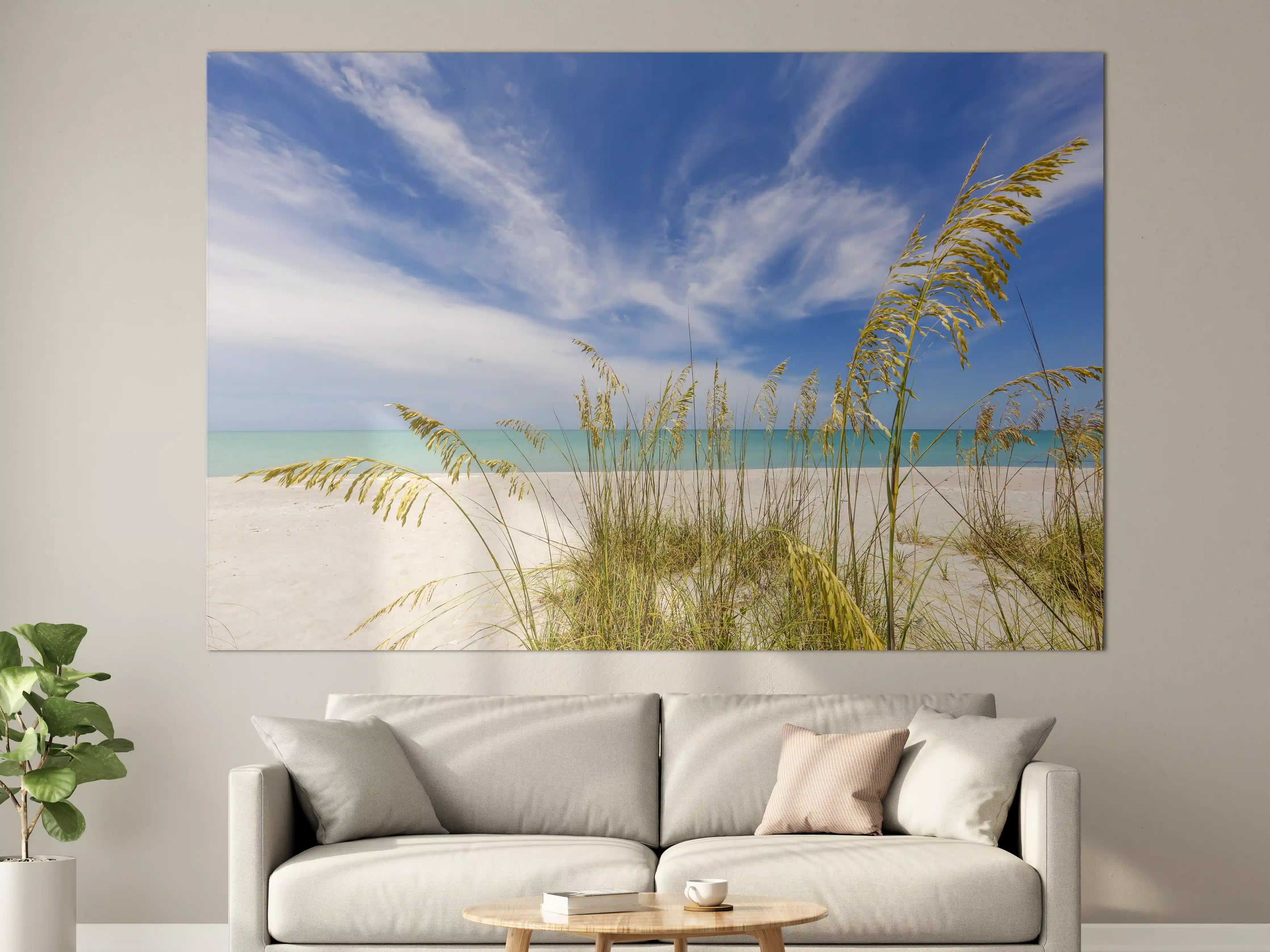 Große Wandbilder - Himmel über Strand mit Seegras