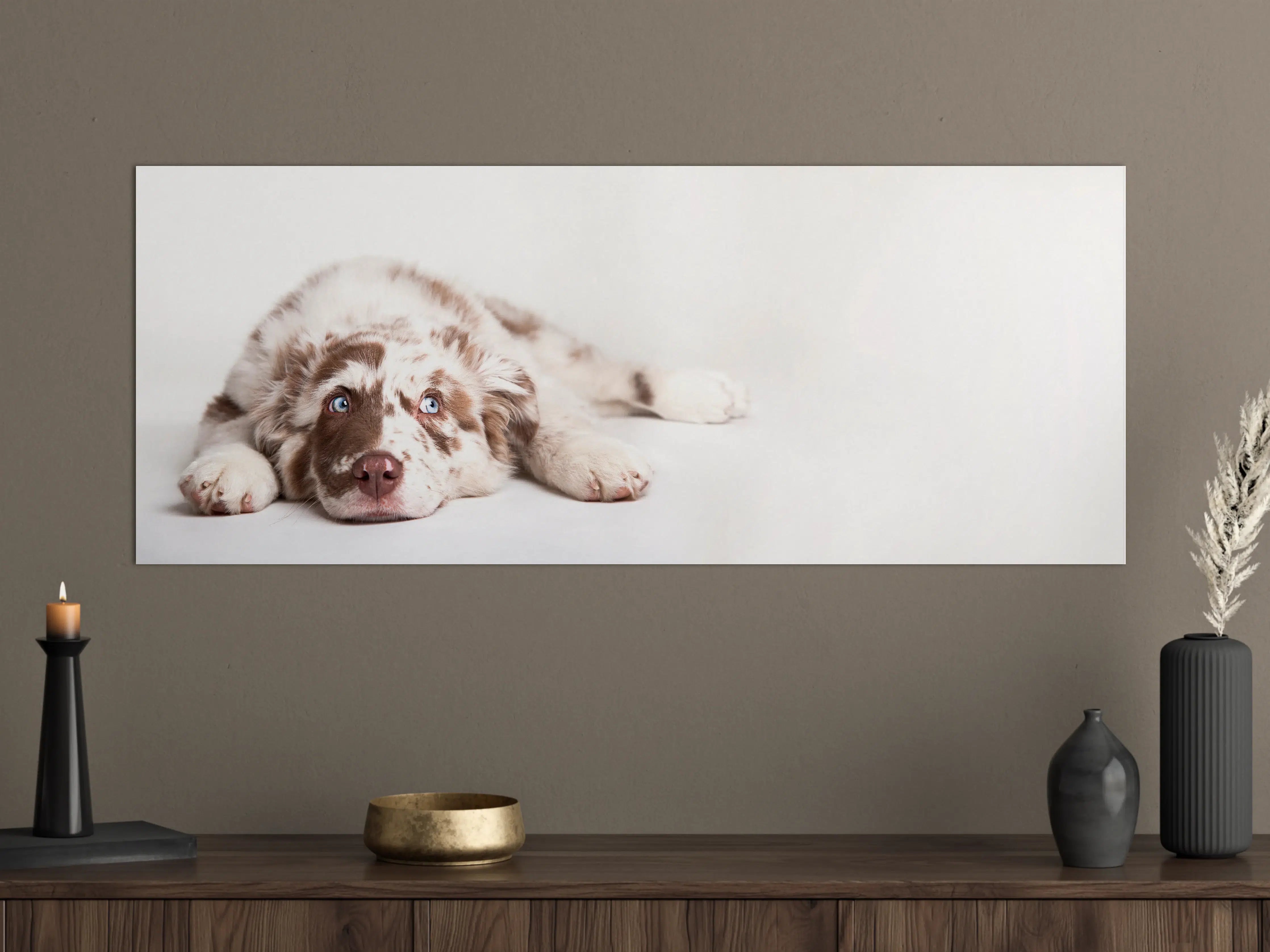 Große Wandbilder - Hunde Portrait - Australian Shepherd