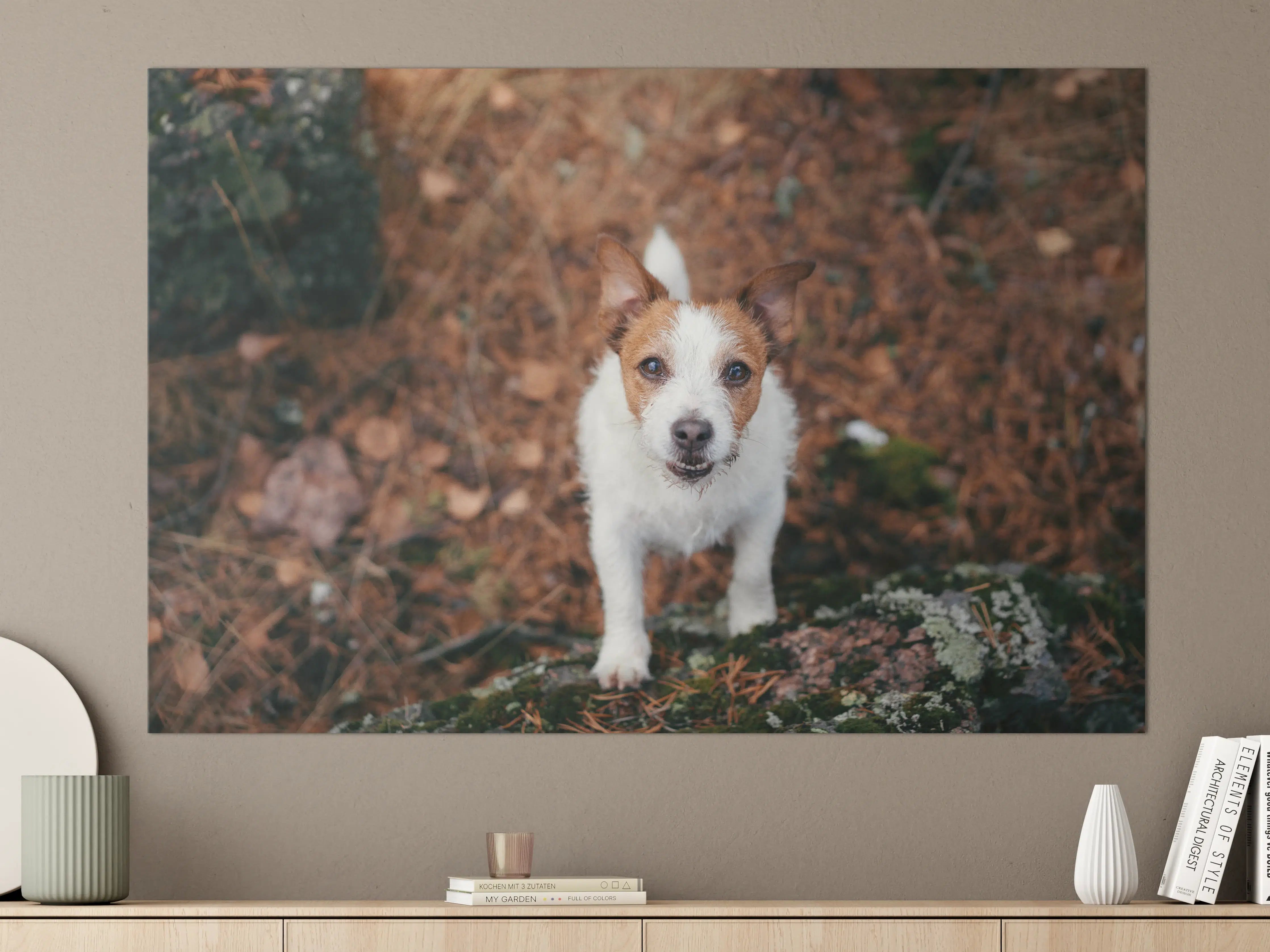 Große Wandbilder - Jack Russell im herbstlichen Park