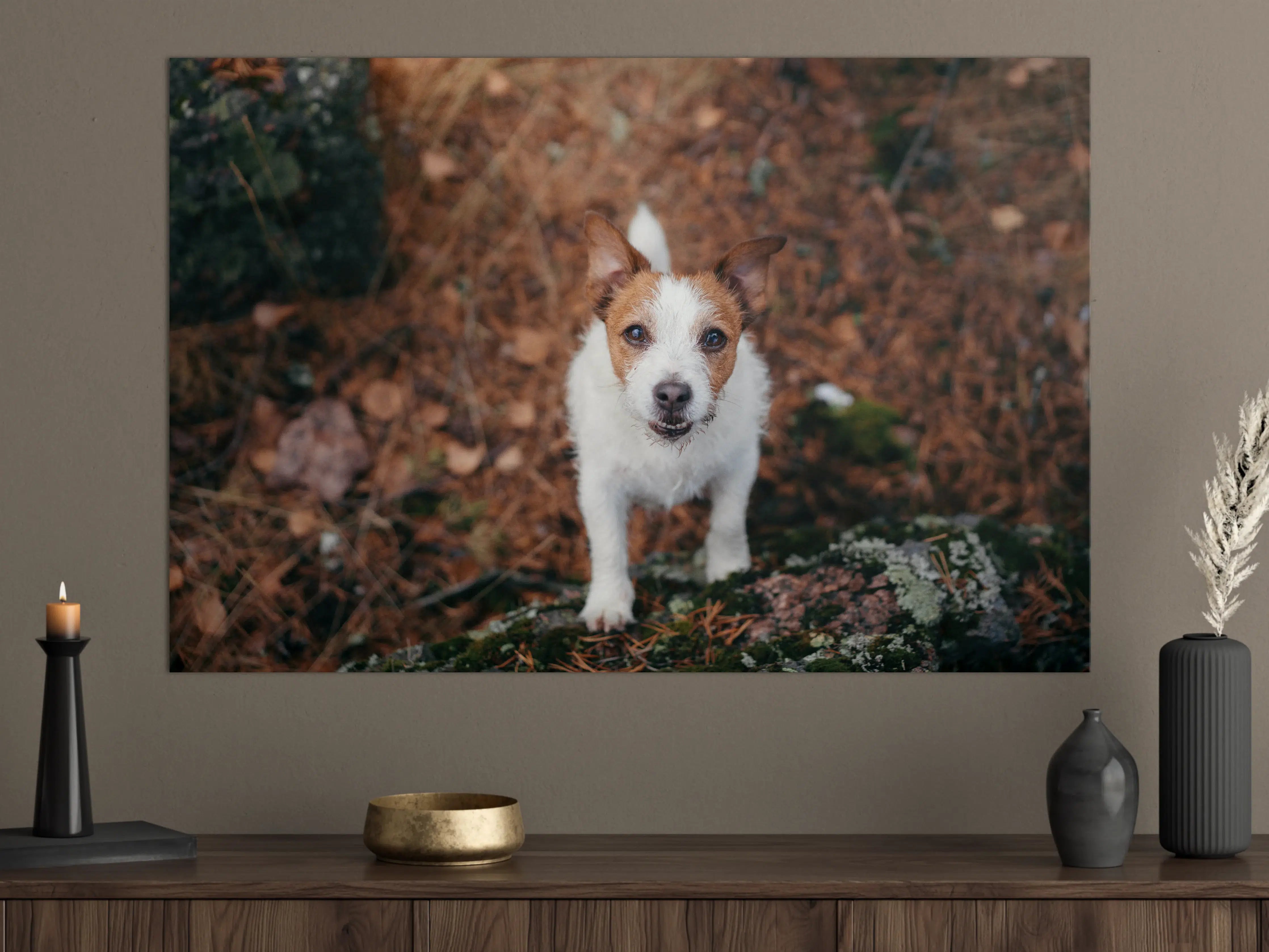 Große Wandbilder - Jack Russell im herbstlichen Park