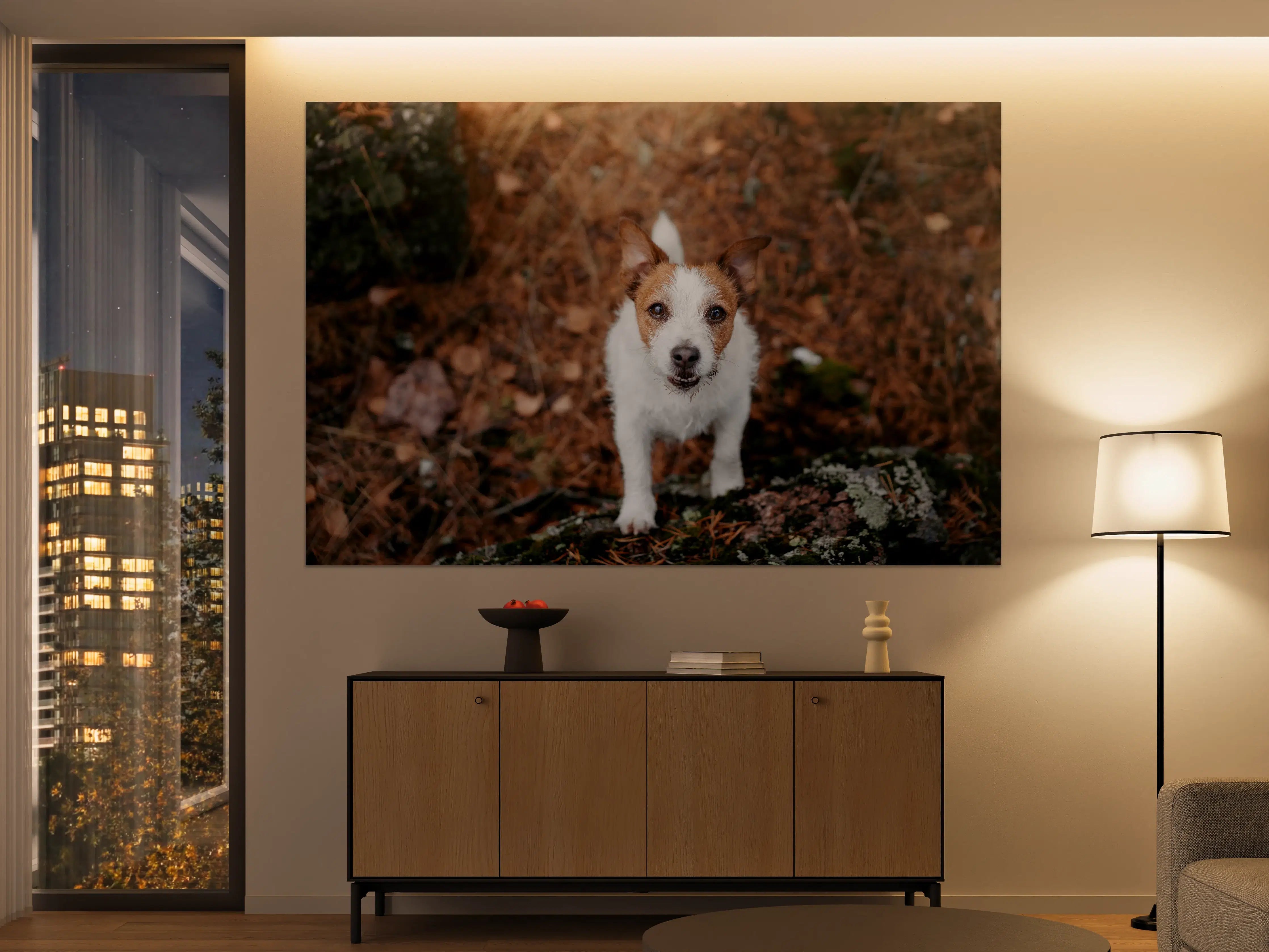 Große Wandbilder - Jack Russell im herbstlichen Park