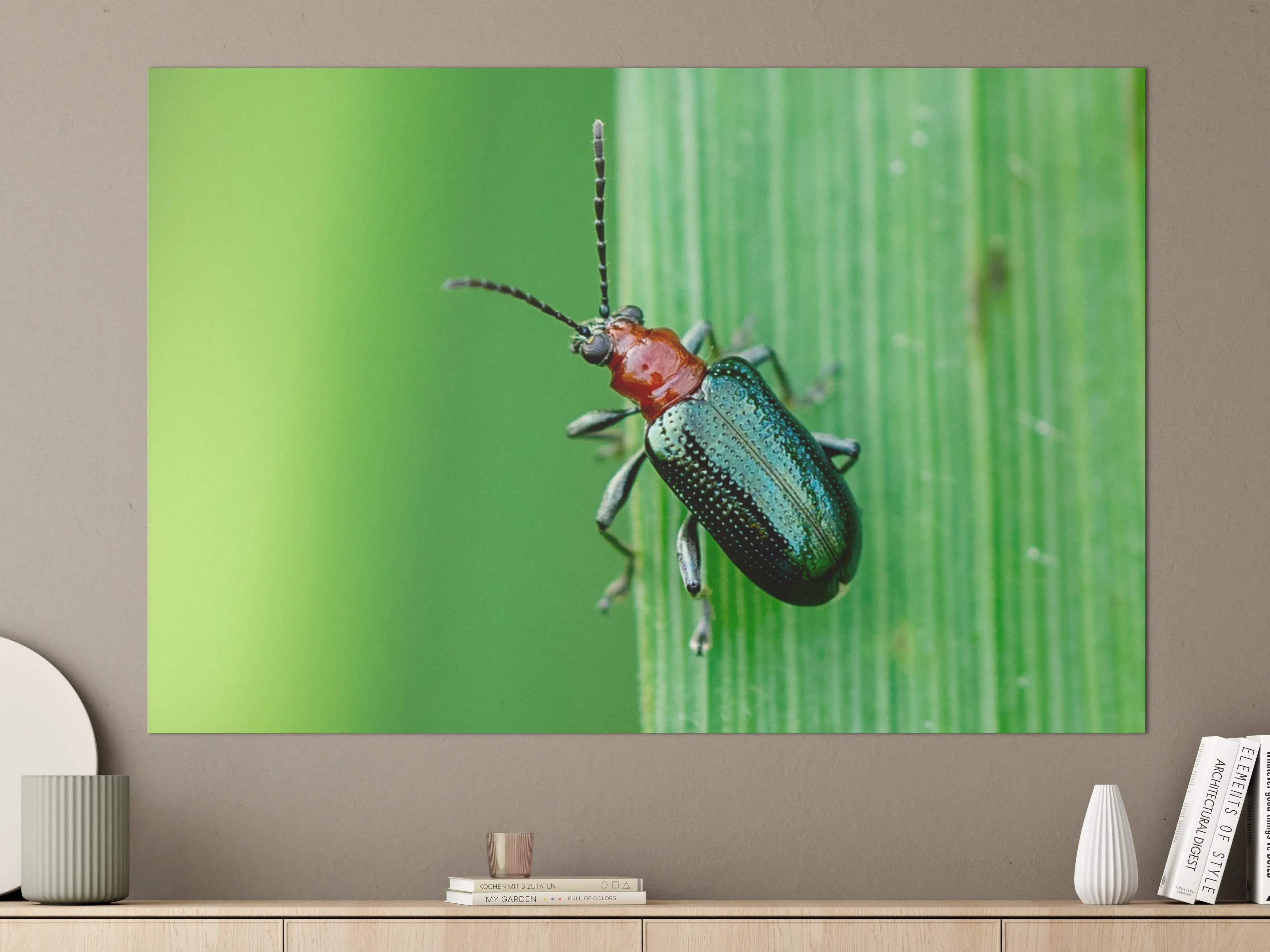 Große Wandbilder - Käfer auf Blatt