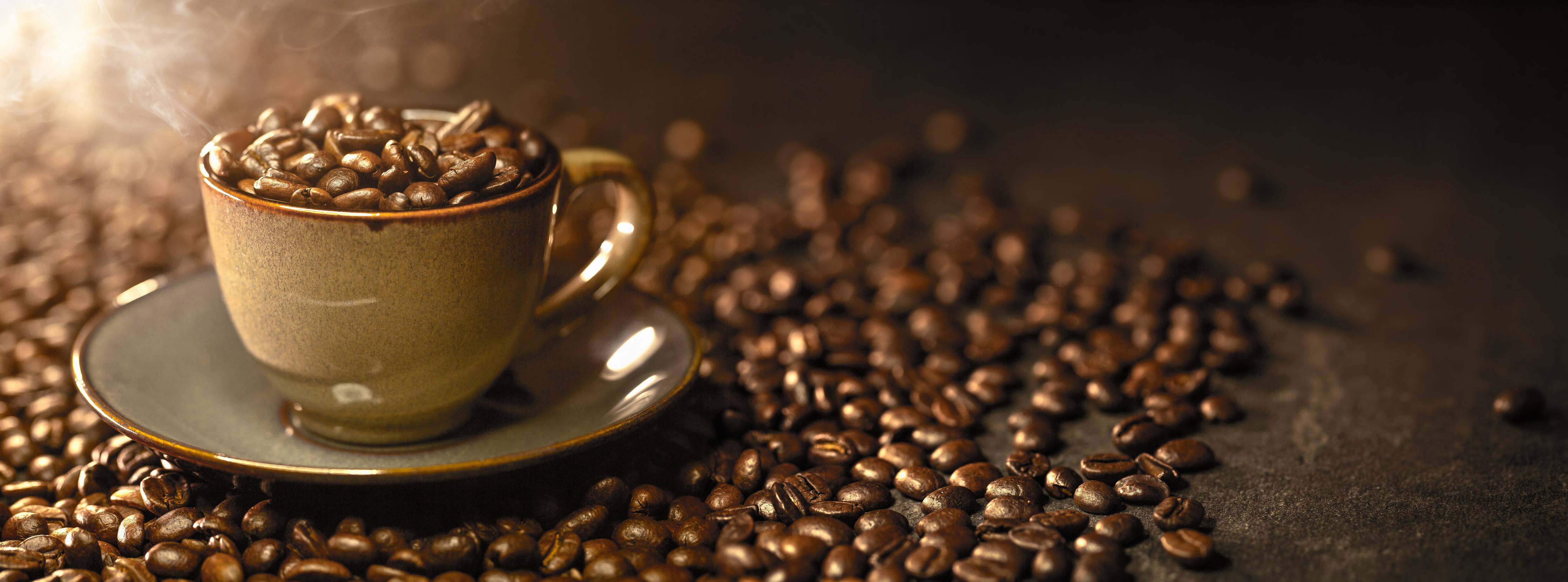 Große Wandbilder-Kaffeebohnen Stillleben in Braun