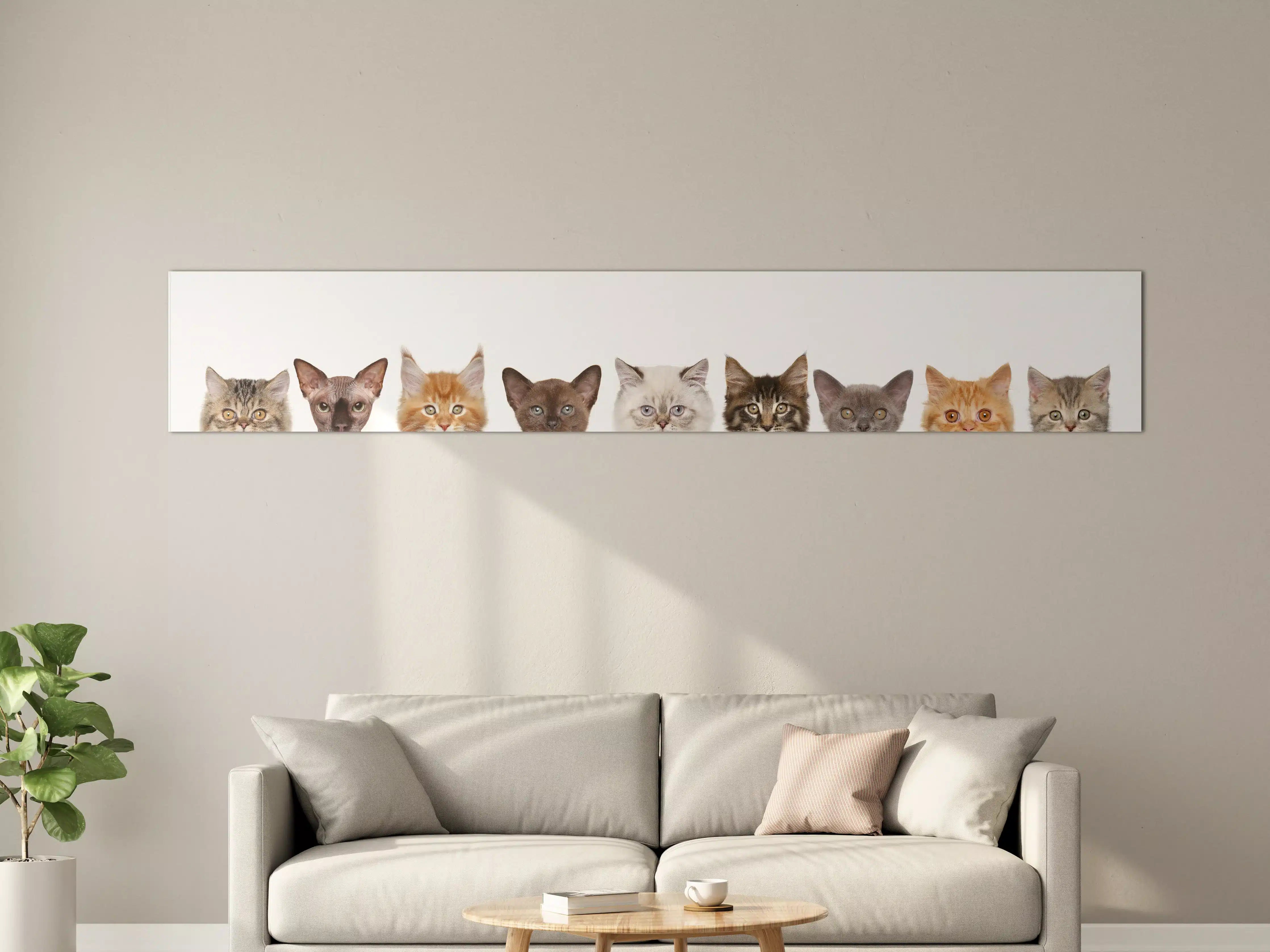 Große Wandbilder - Katzen-Kopf-Reihe in Weiß-Grau