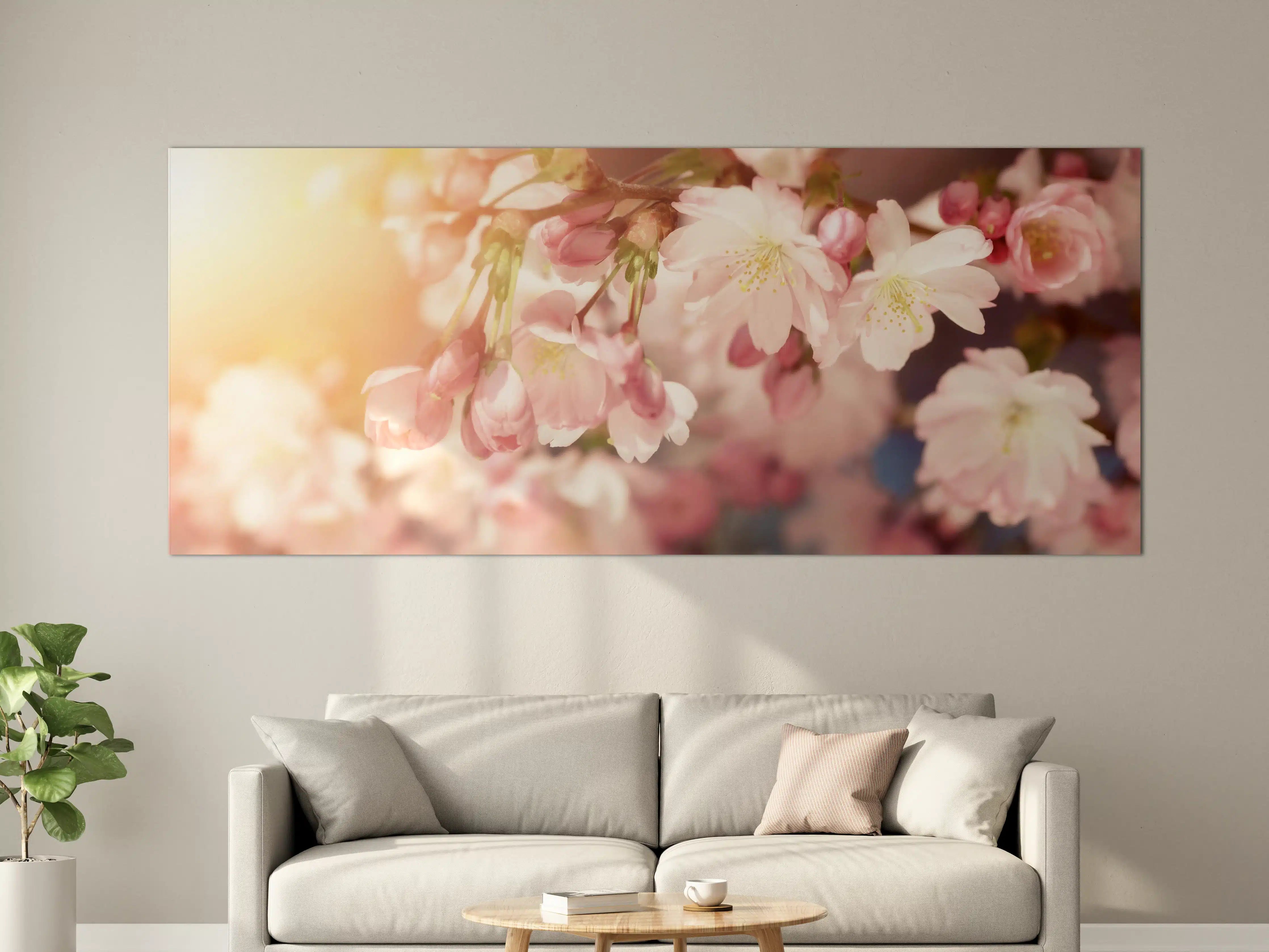 Große Wandbilder - Kirschblüten im Sonnenlicht