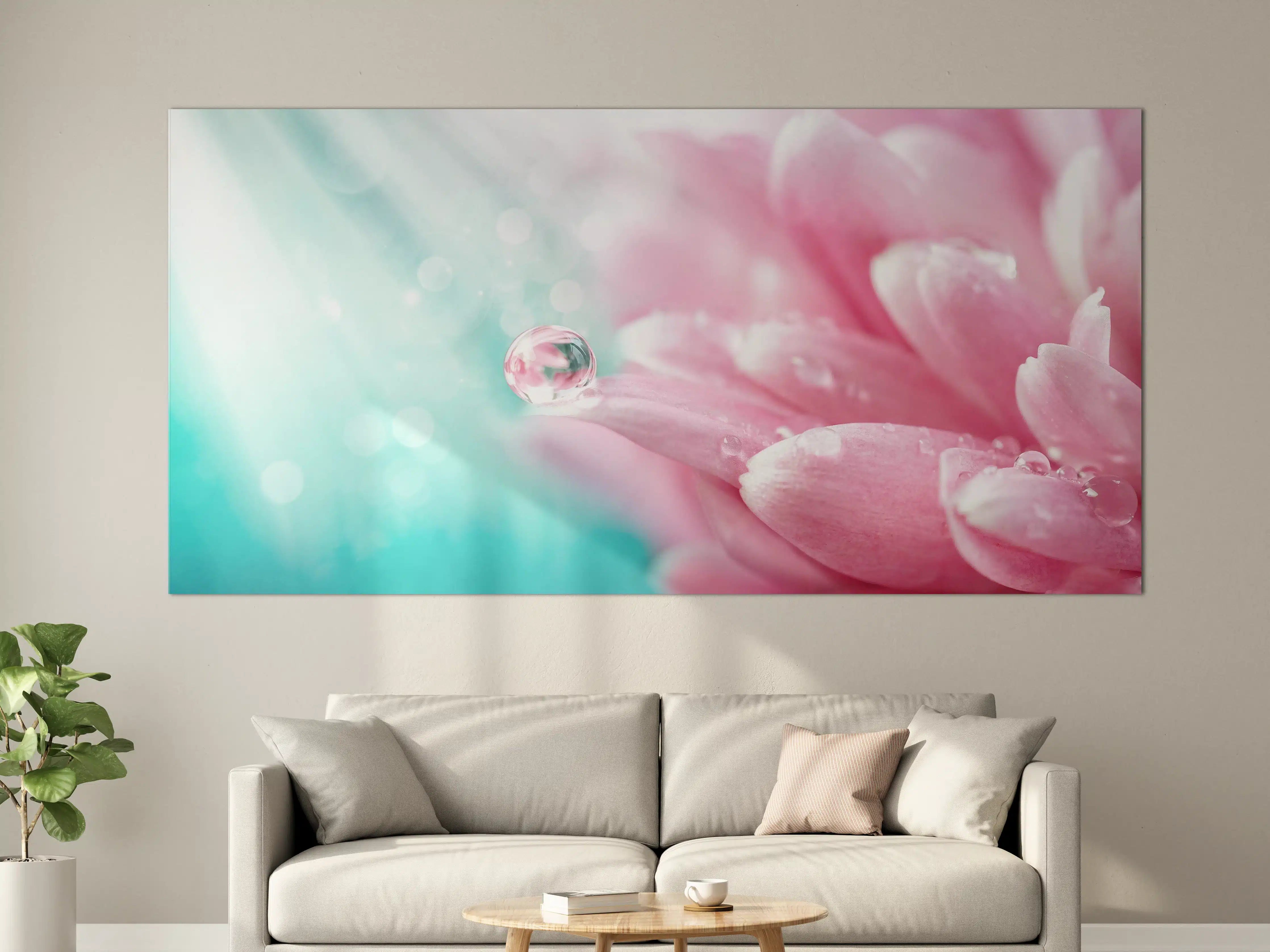 Große Wandbilder - Klarer Wassertropfen auf Chrysantheme